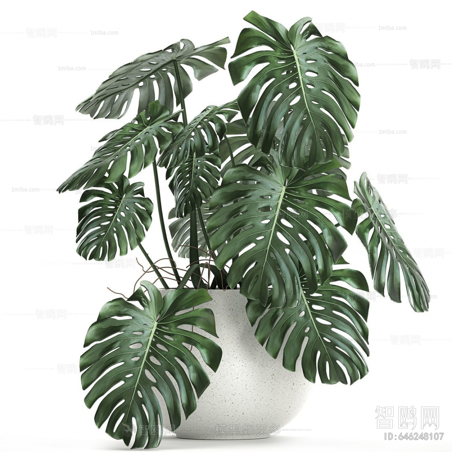 Modern Potted Green Plant