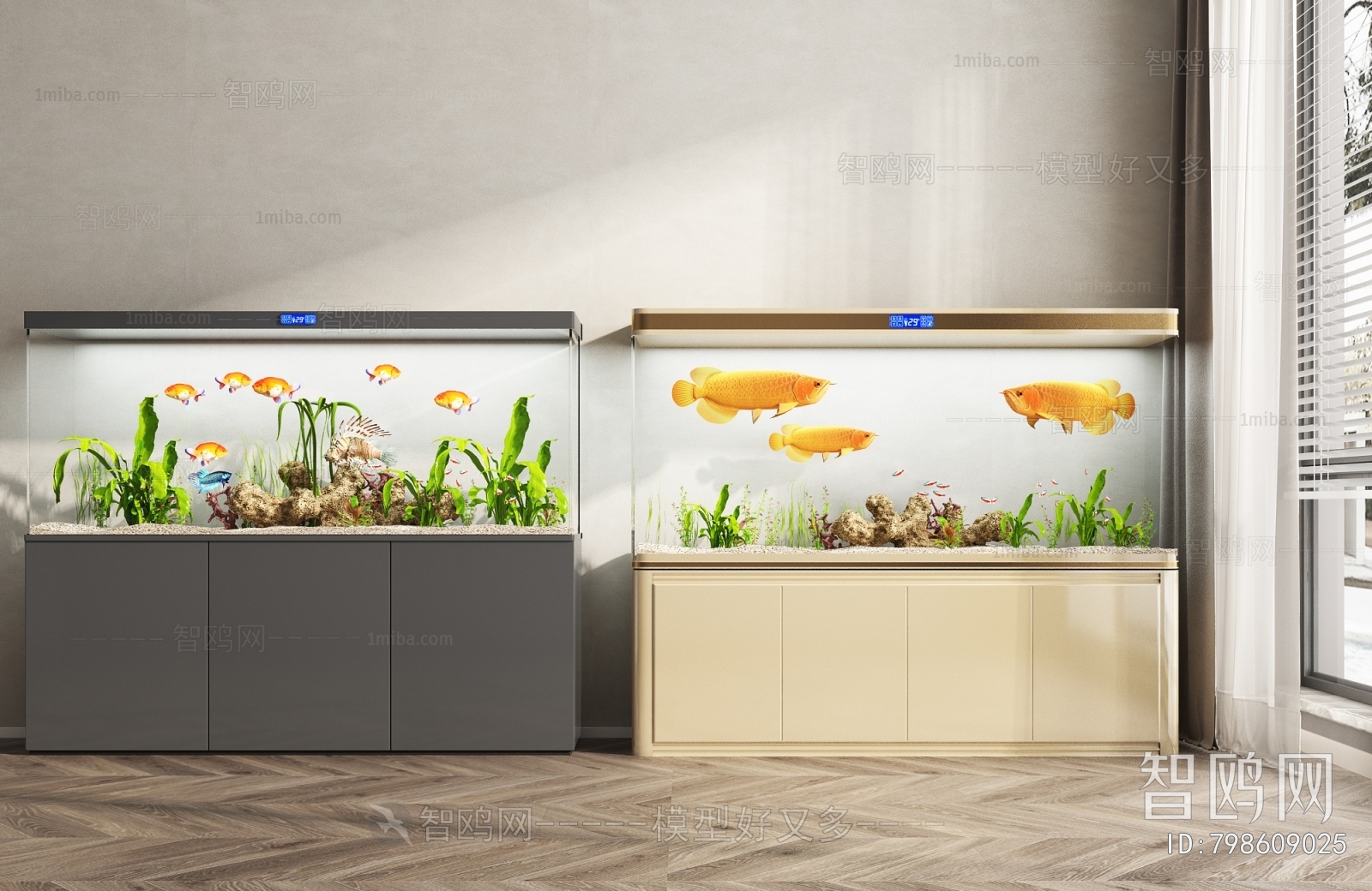 Modern Fish Tank