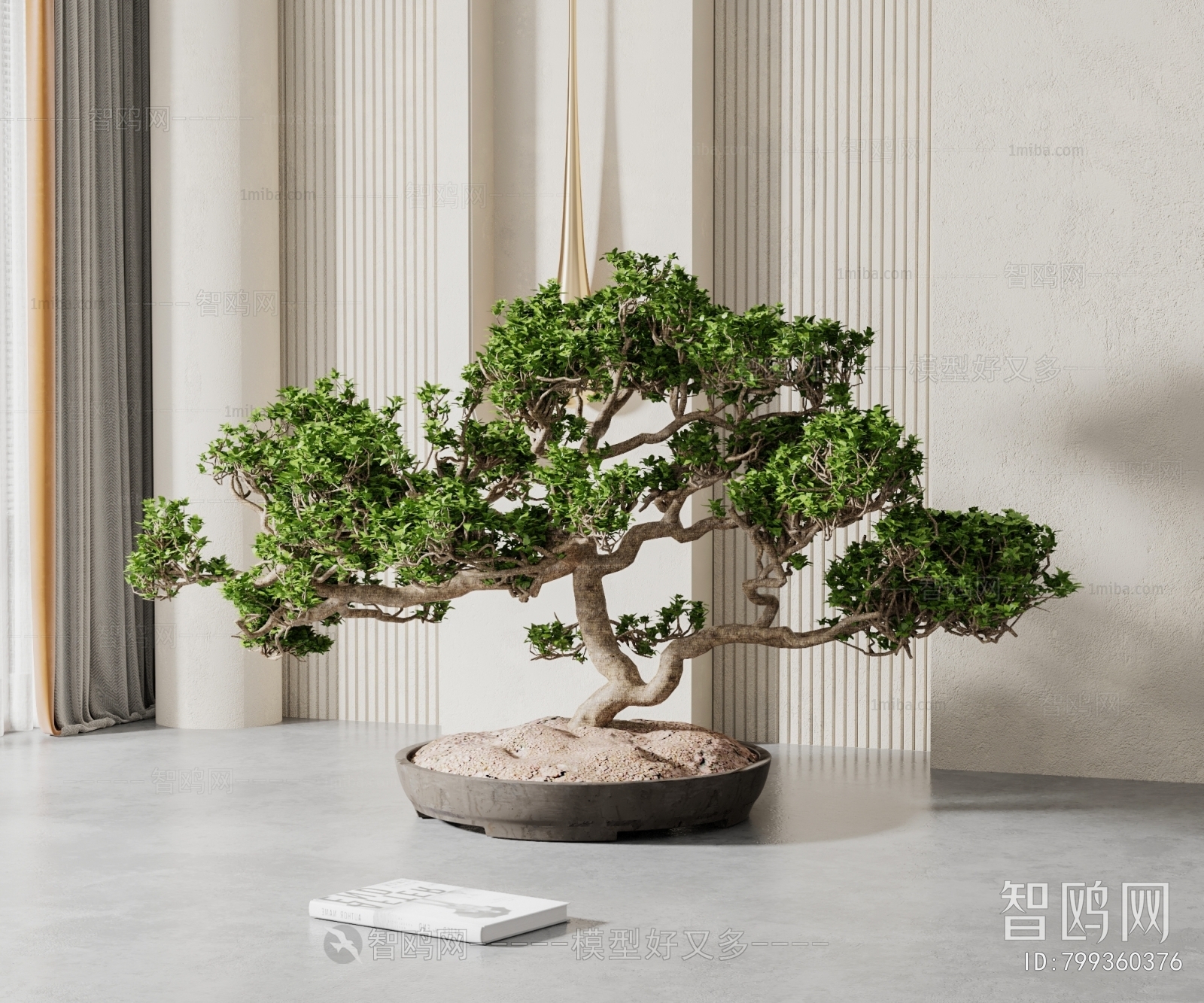 Wabi-sabi Style Bonsai