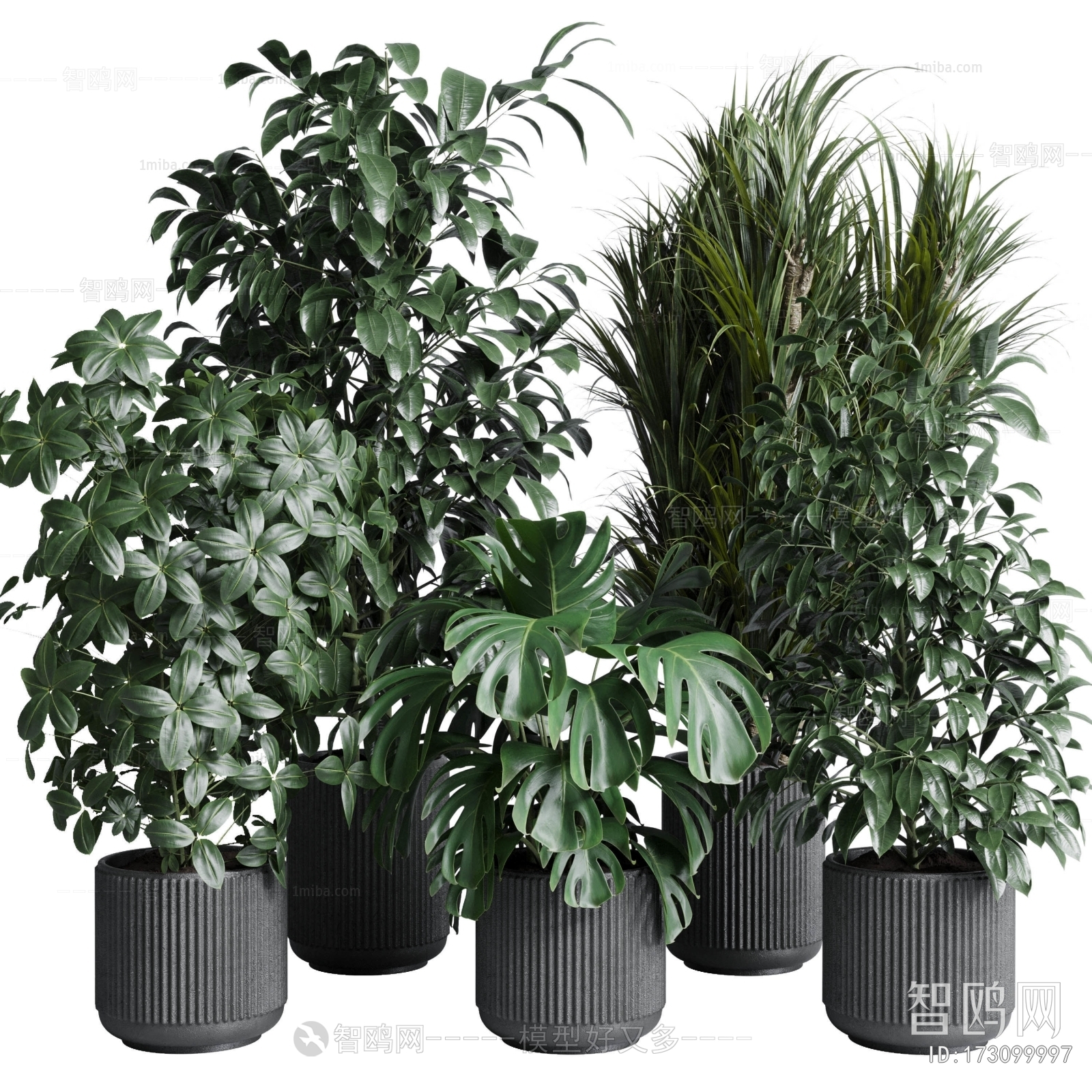 Modern Potted Green Plant