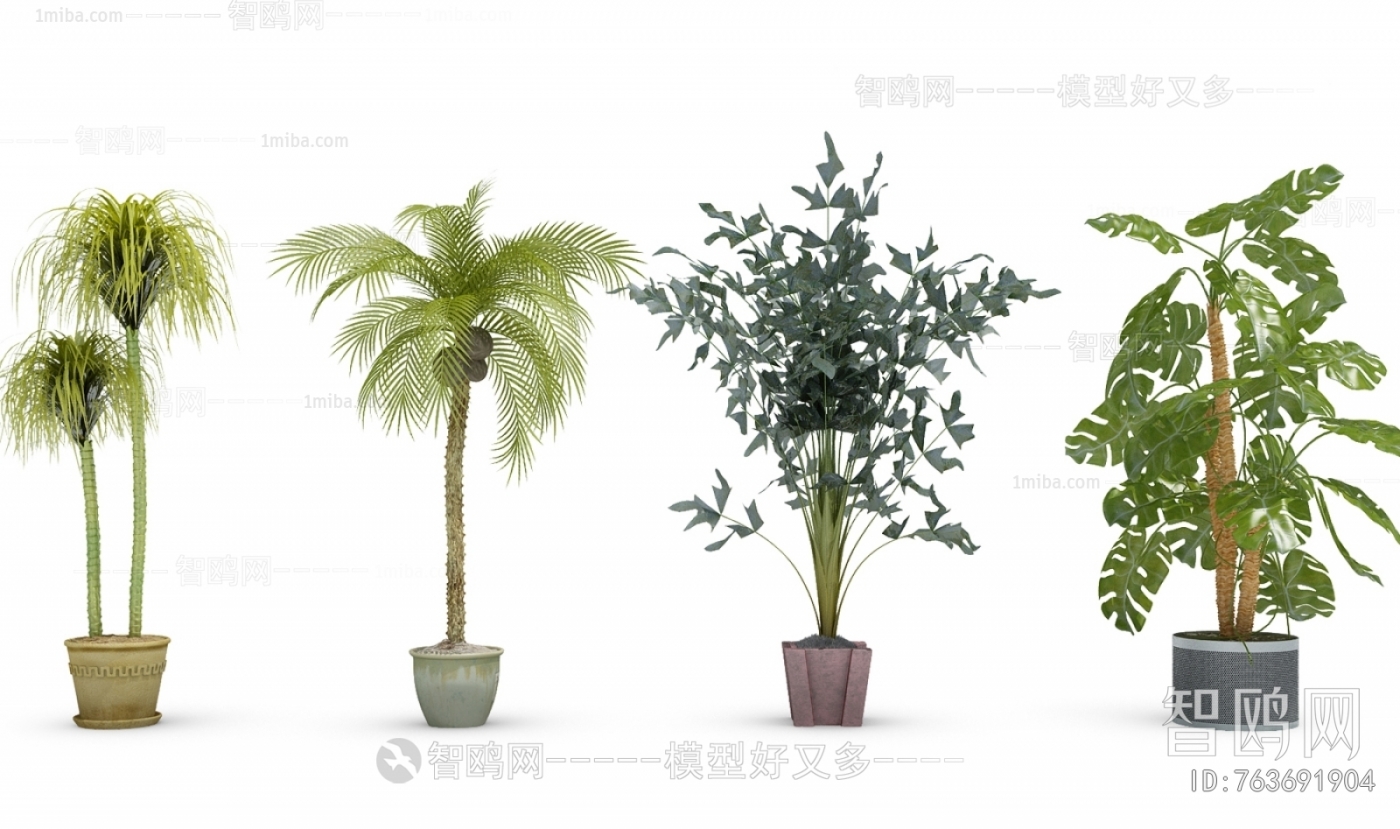 Modern Potted Green Plant