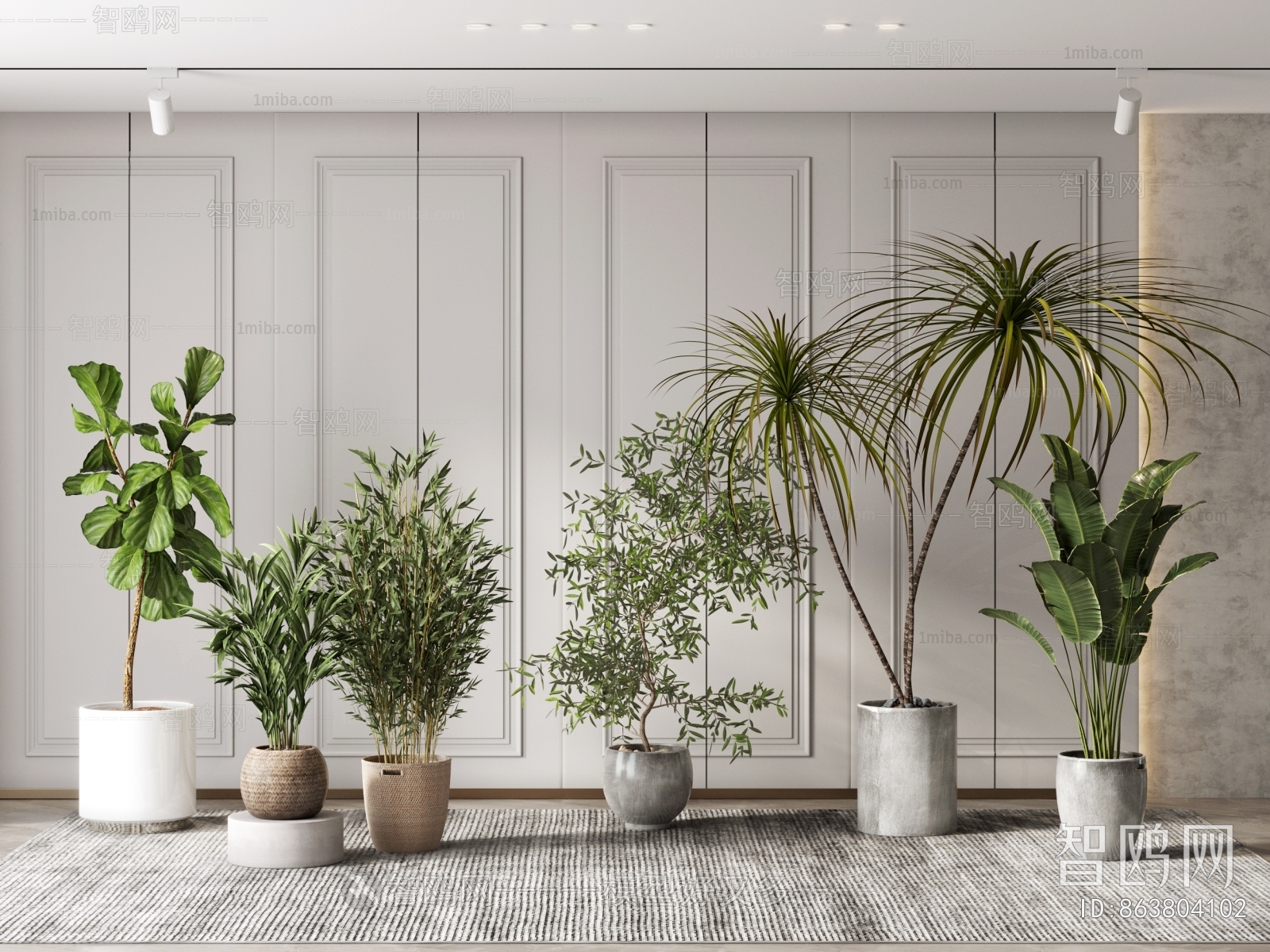 Modern Potted Green Plant