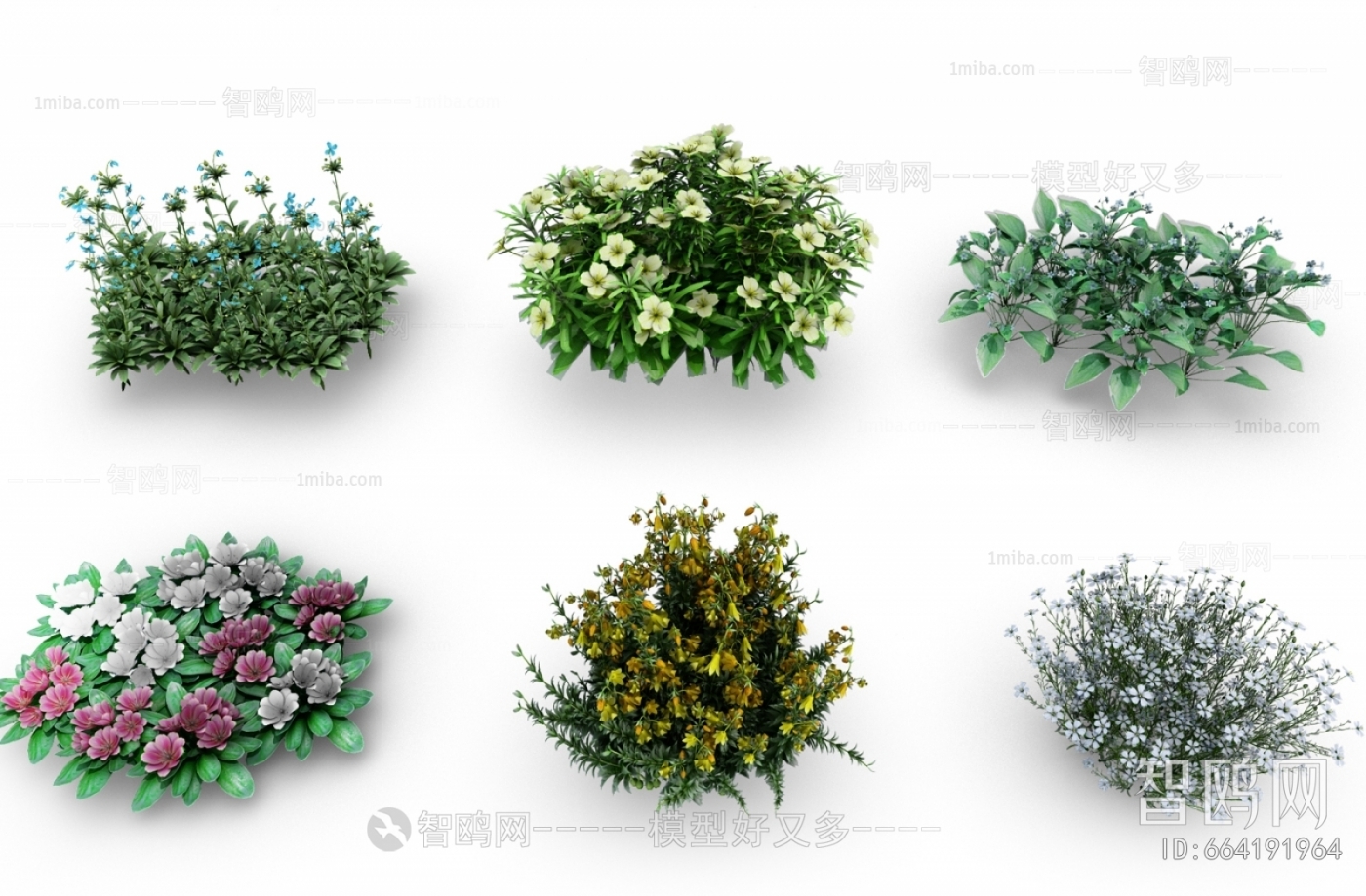 Modern Flowers And Grass