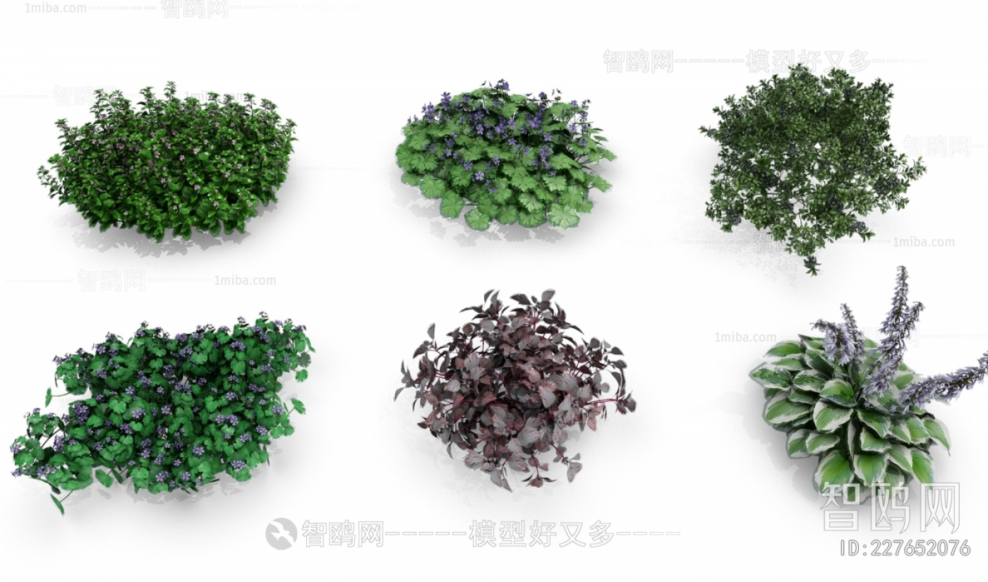 Modern Flowers And Grass