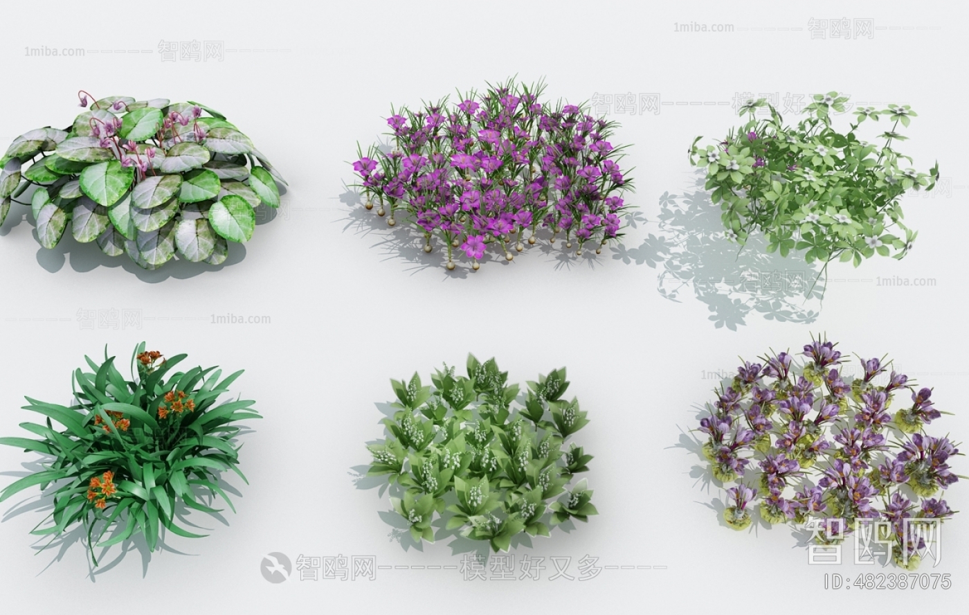 Modern Flowers And Grass