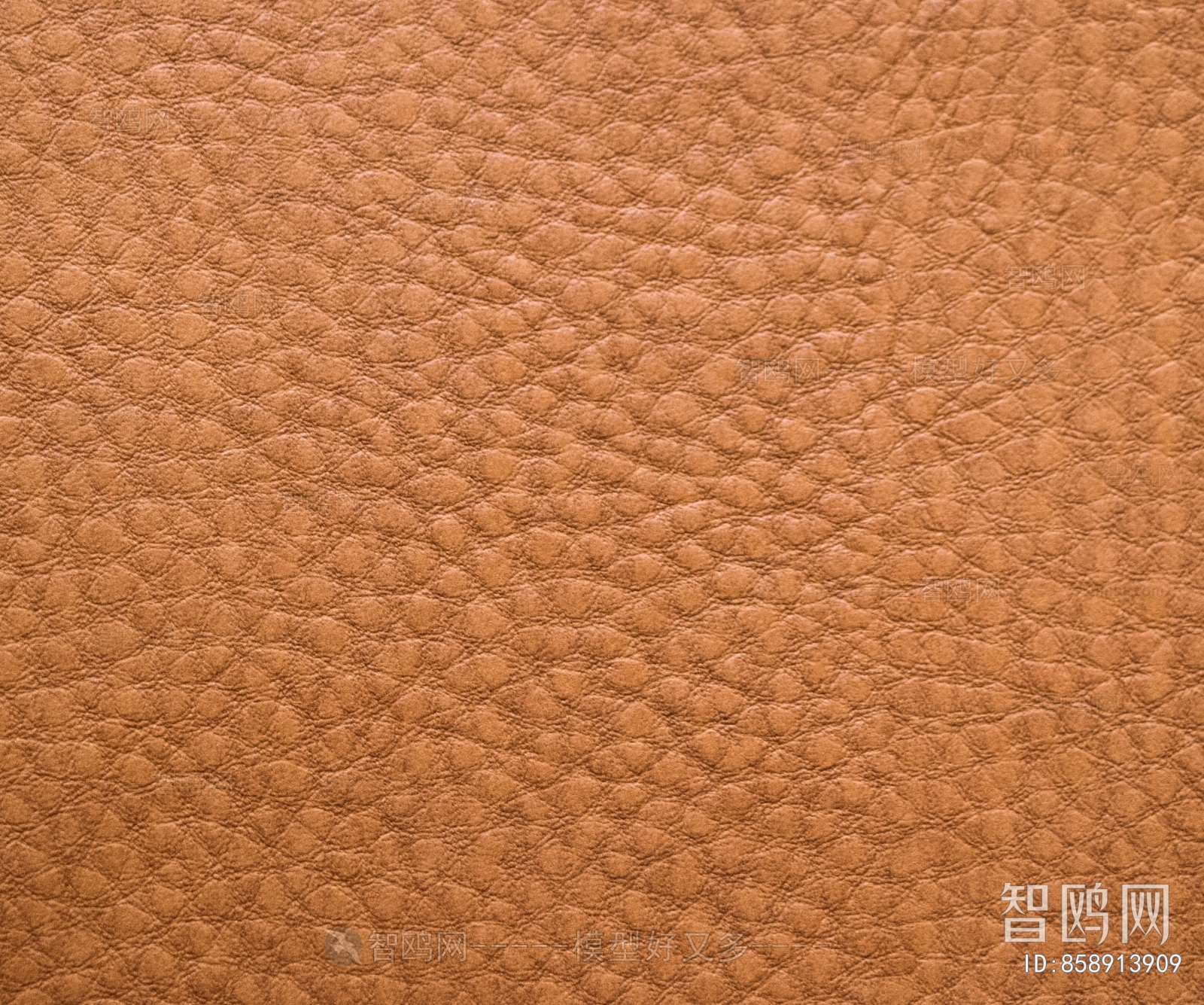 Rough Grain Leather