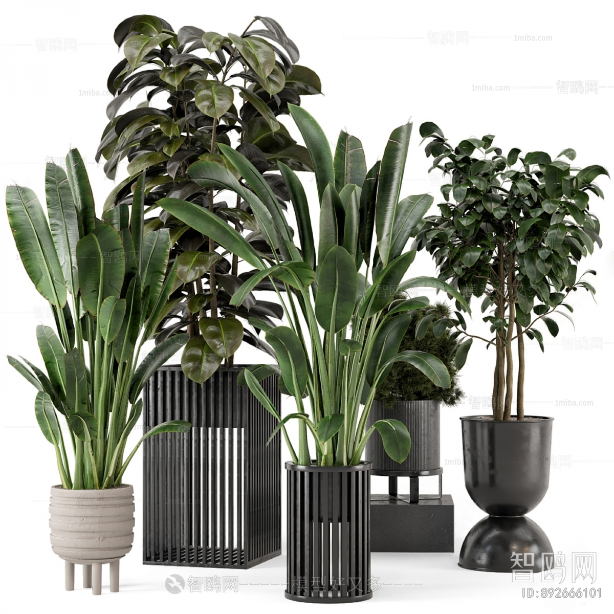 Modern Potted Green Plant