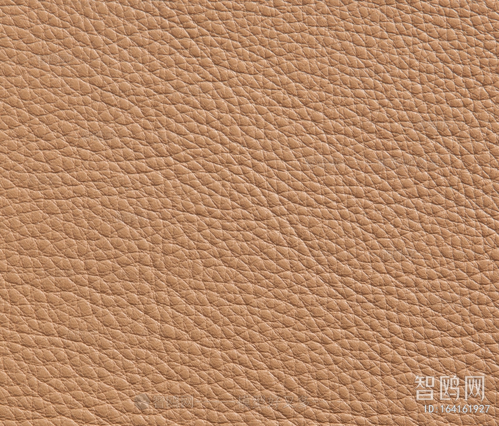 Rough Grain Leather