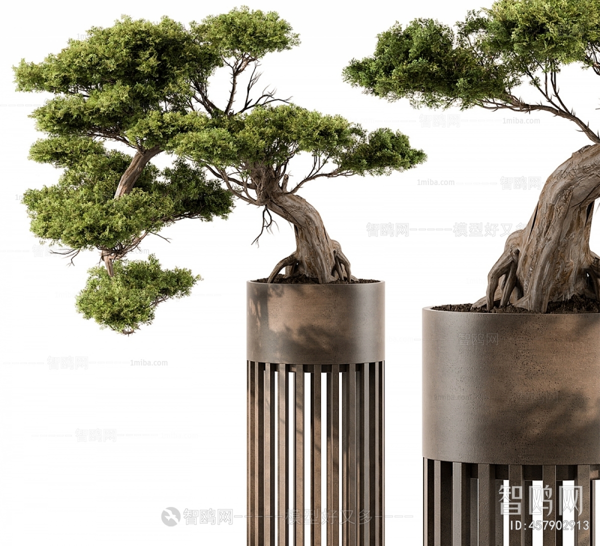 Modern Bonsai