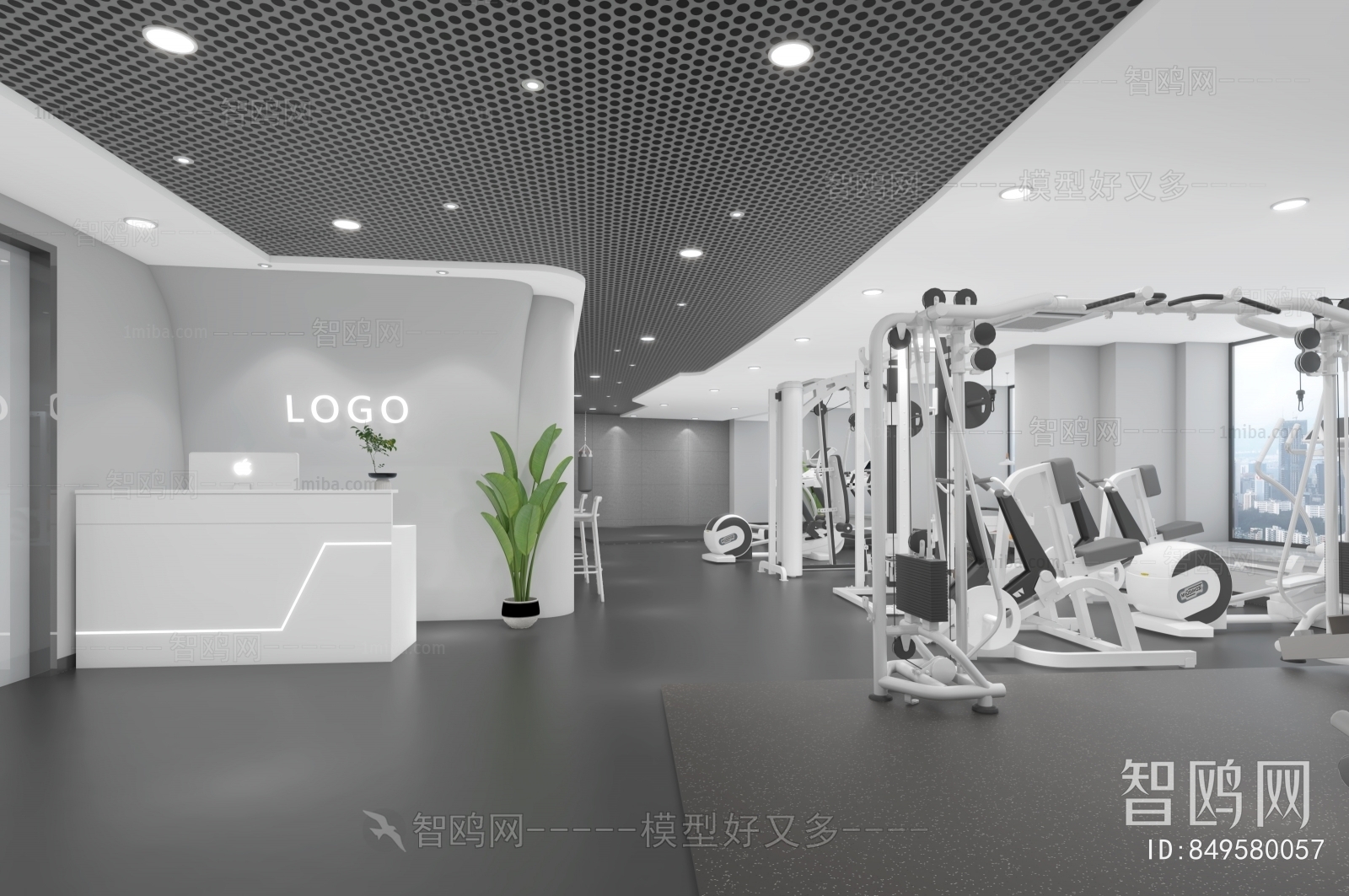 Modern Gym