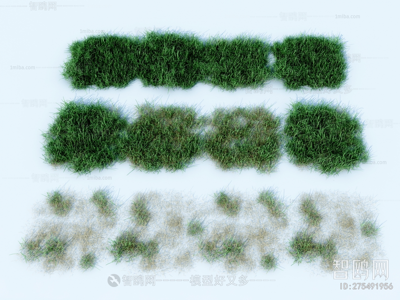 Modern Flowers And Grass