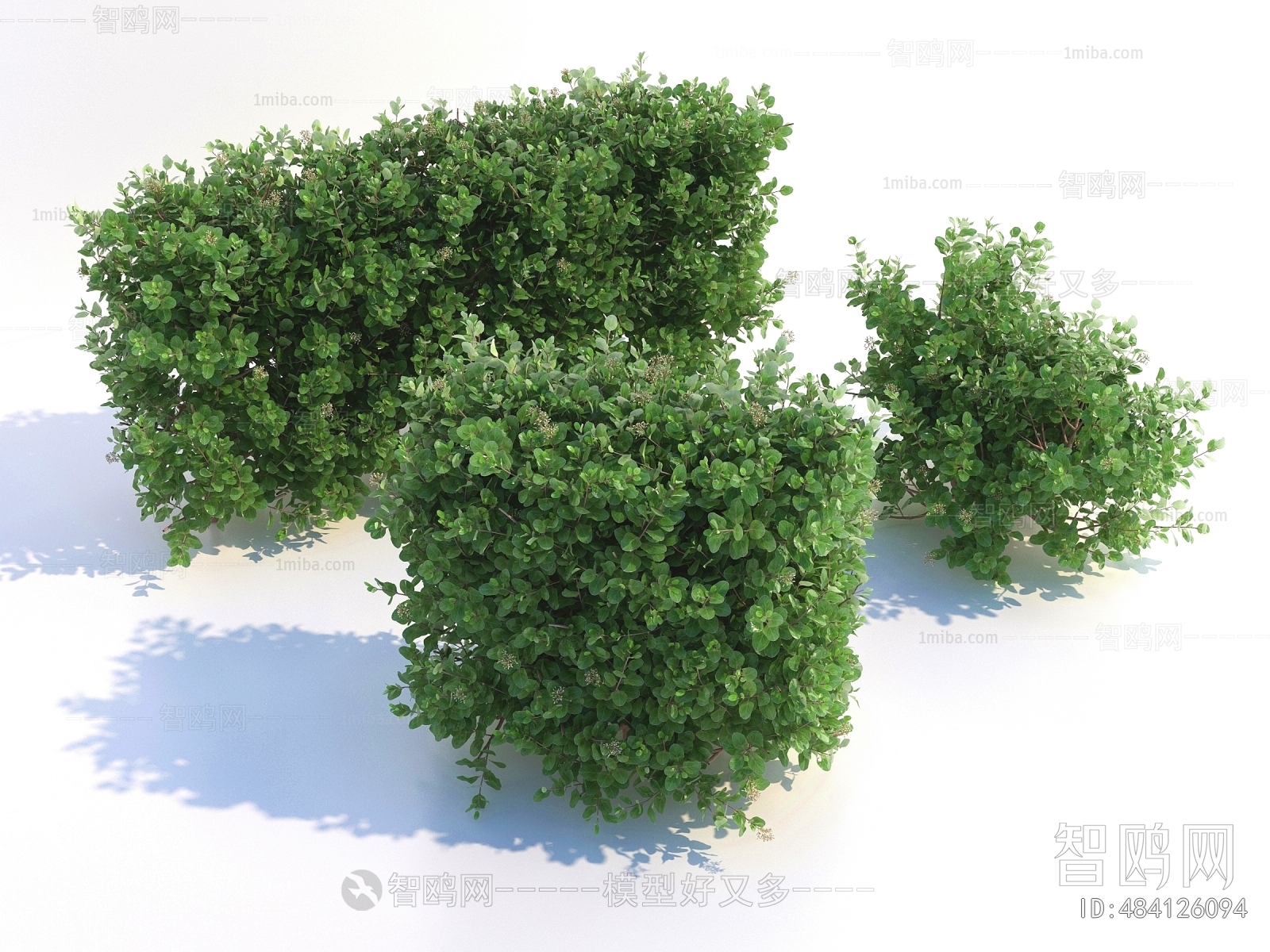 Modern Shrubbery