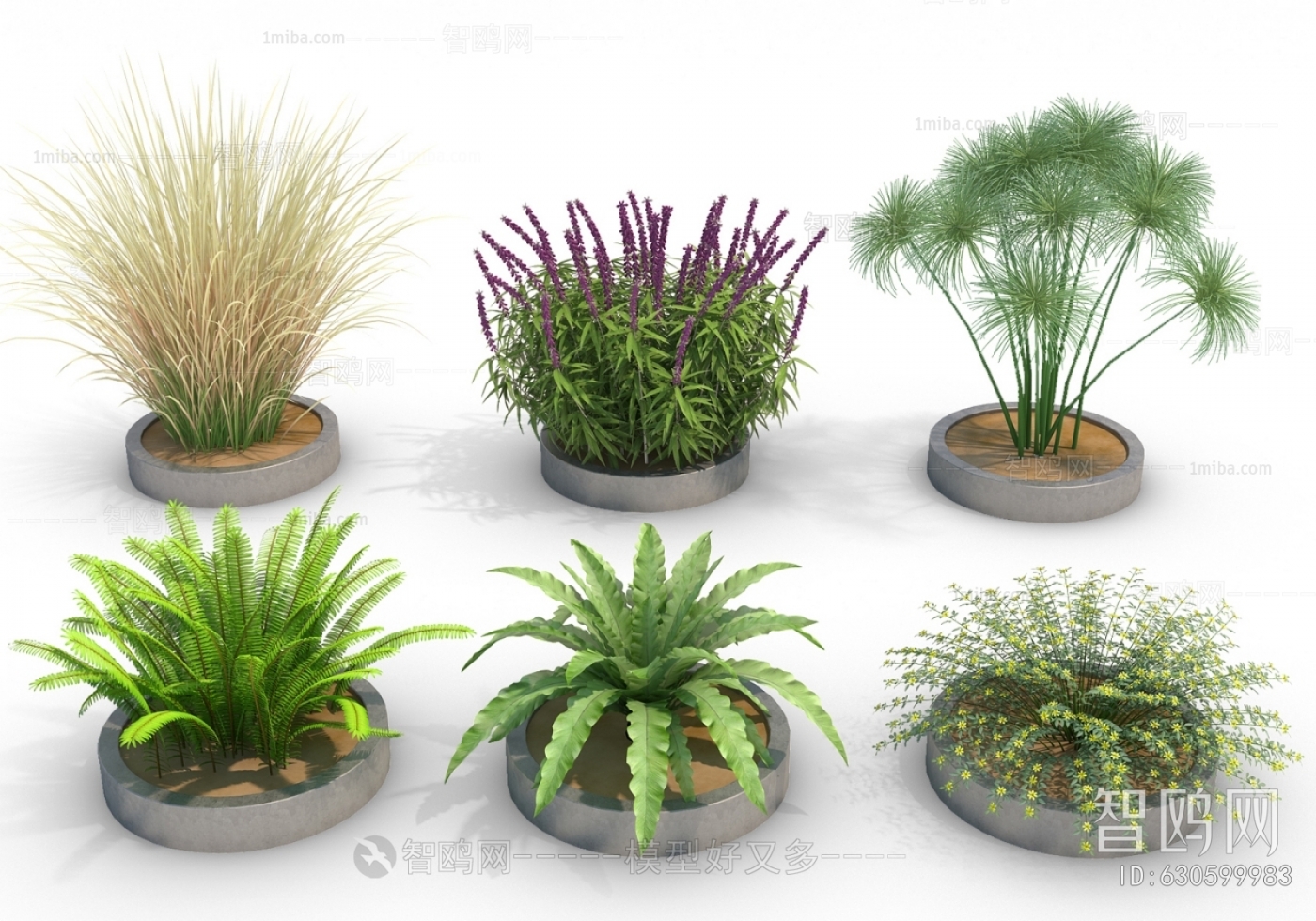 Modern Flowers And Grass