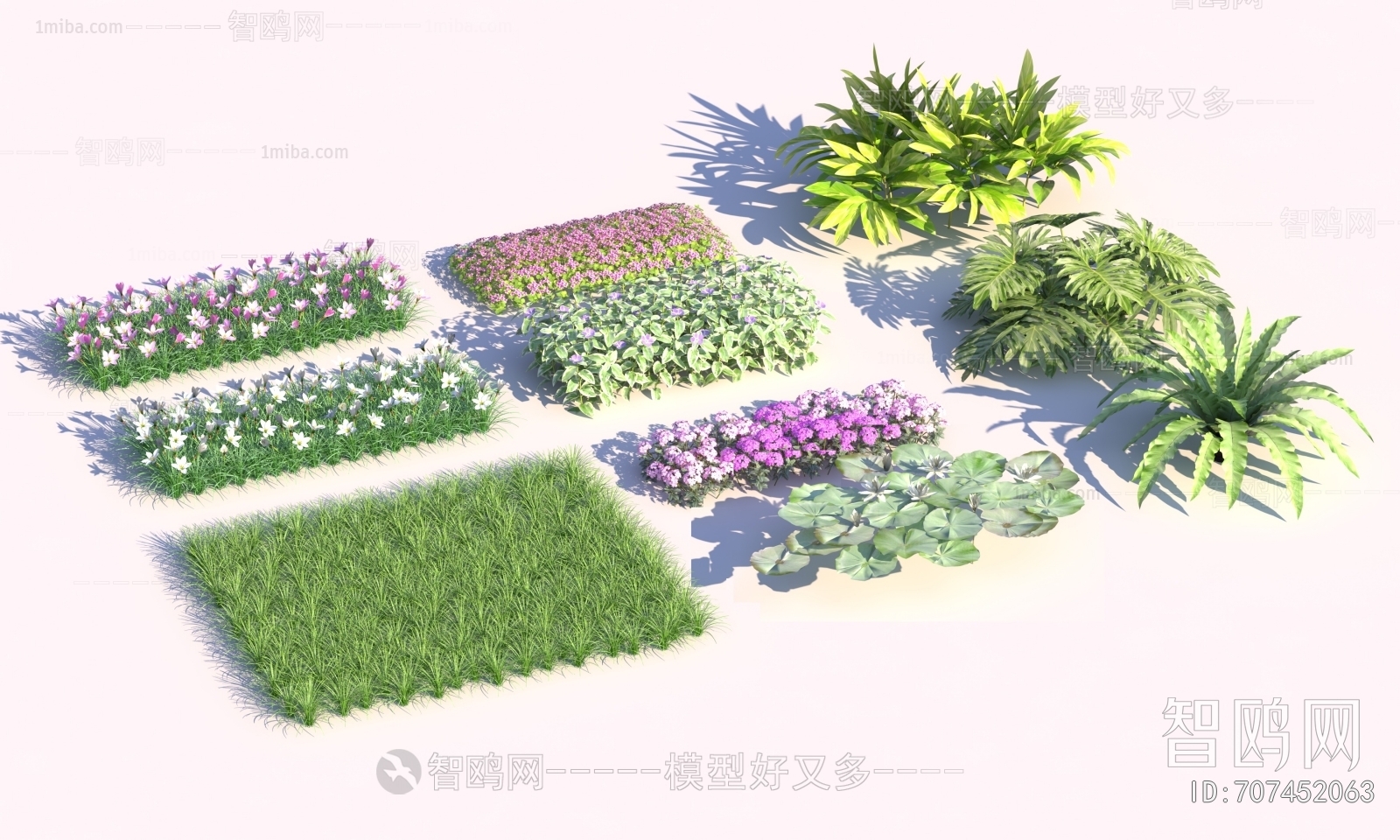 Modern Flowers And Grass