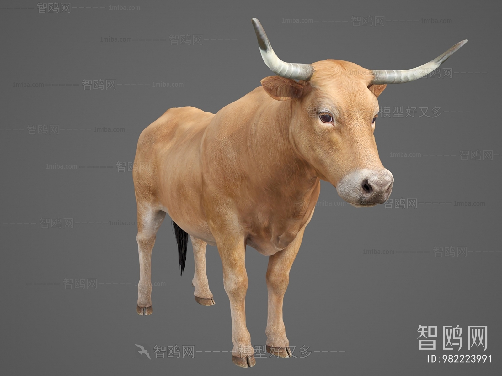 现代动物牛