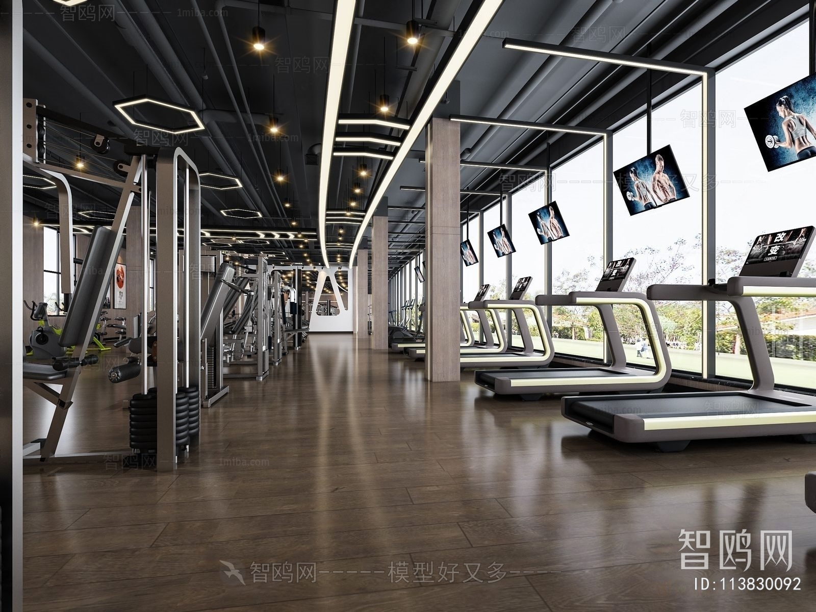 Modern Gym