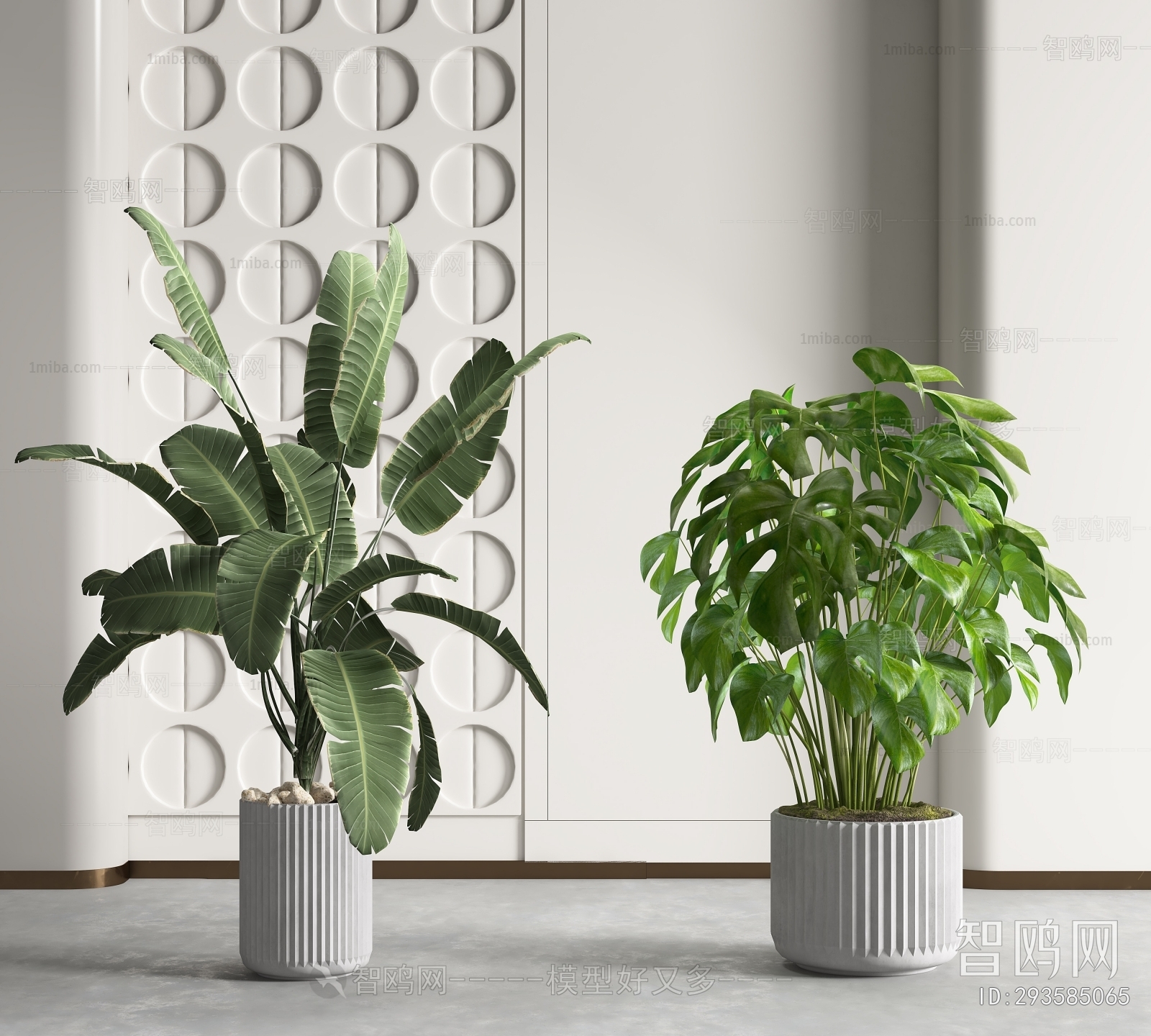 Modern Potted Green Plant