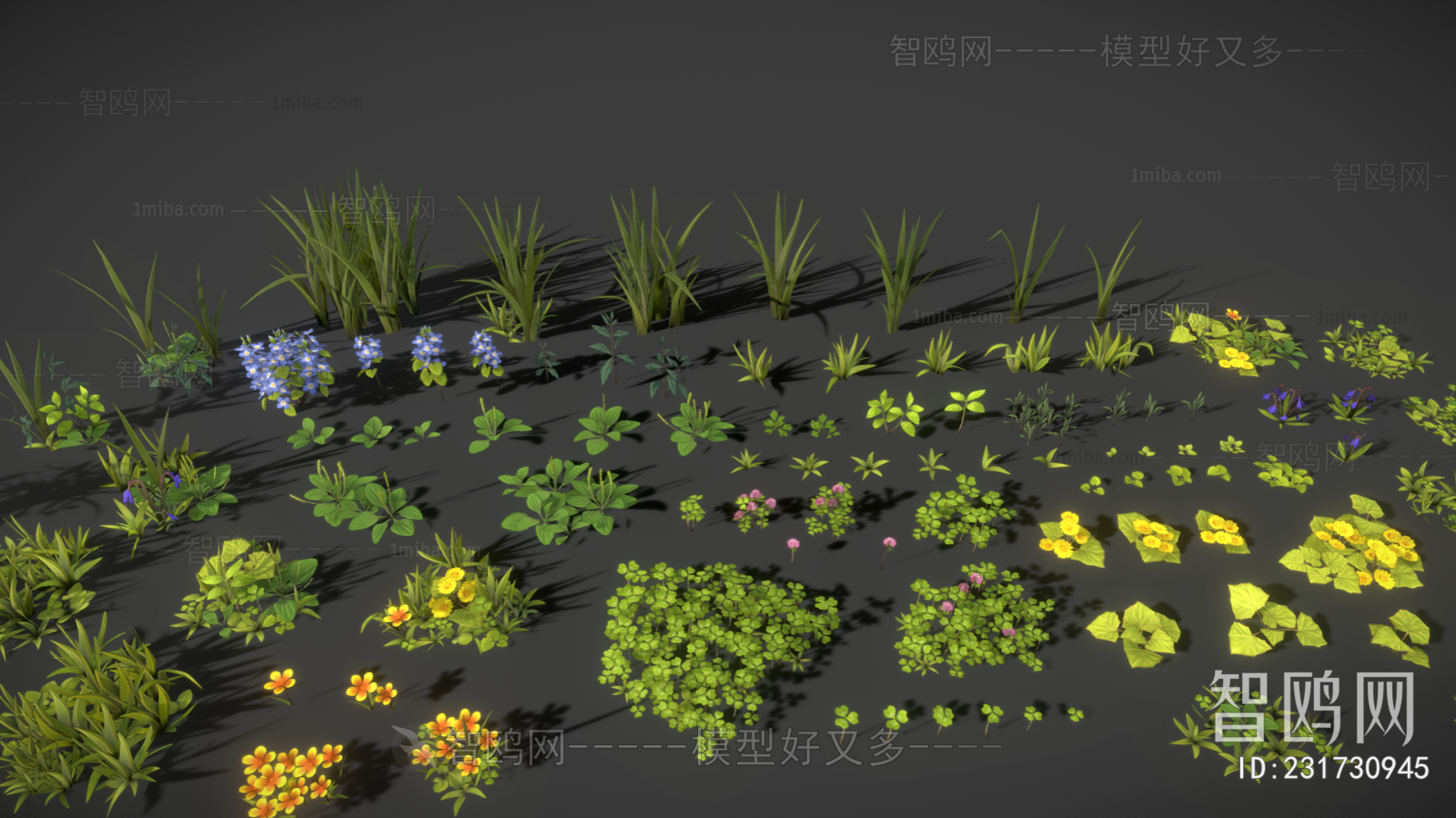 Modern Flowers And Grass