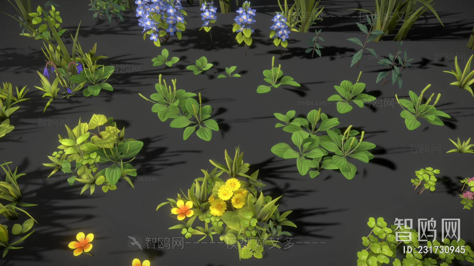 Modern Flowers And Grass