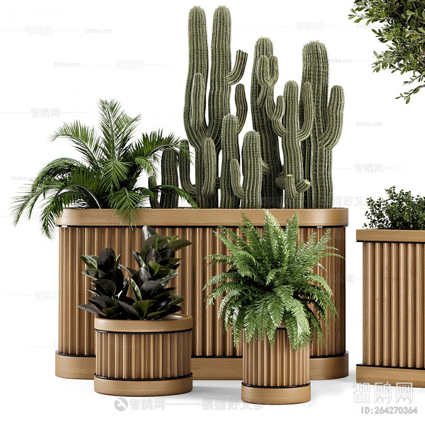 Modern Potted Green Plant