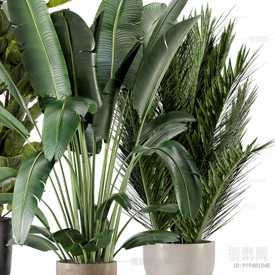 Modern Potted Green Plant