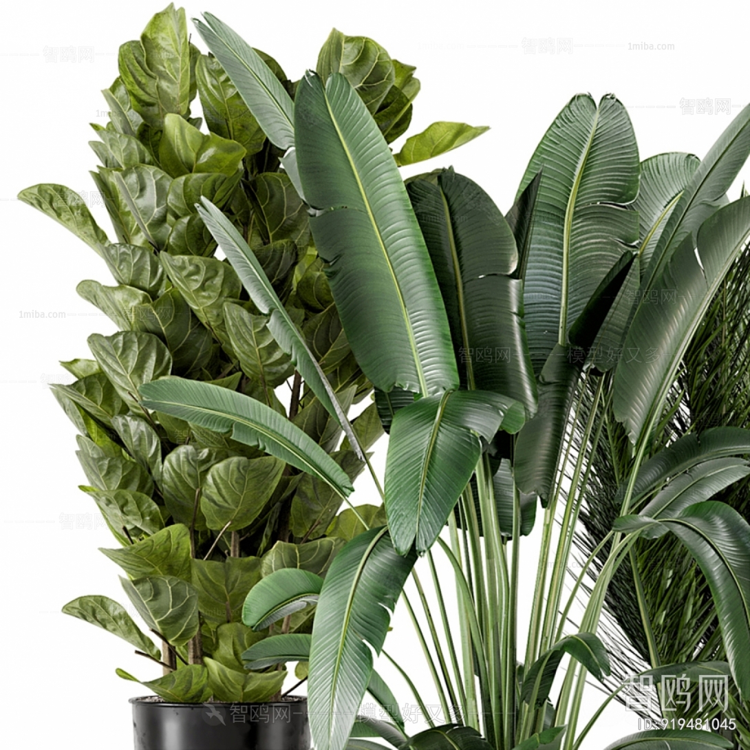 Modern Potted Green Plant