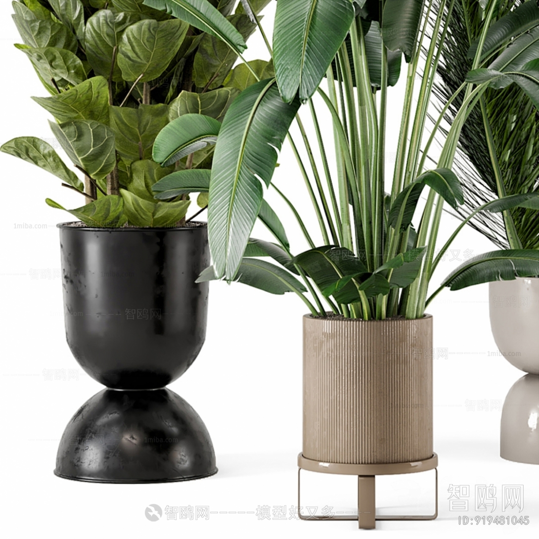 Modern Potted Green Plant