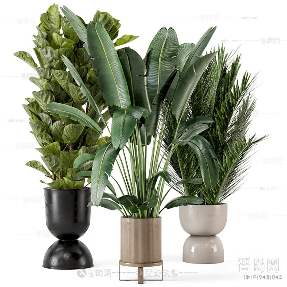 Modern Potted Green Plant