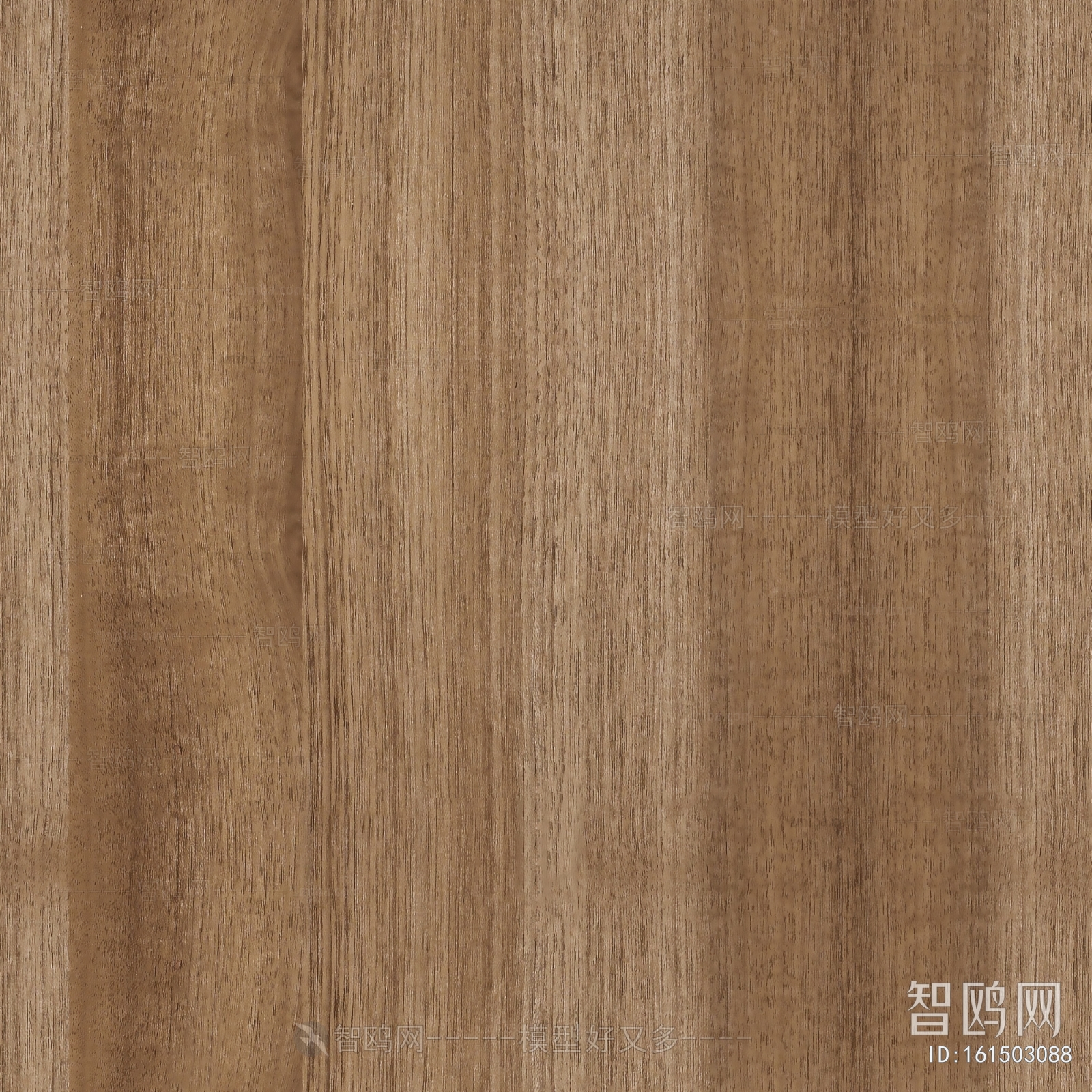 Wood Texture