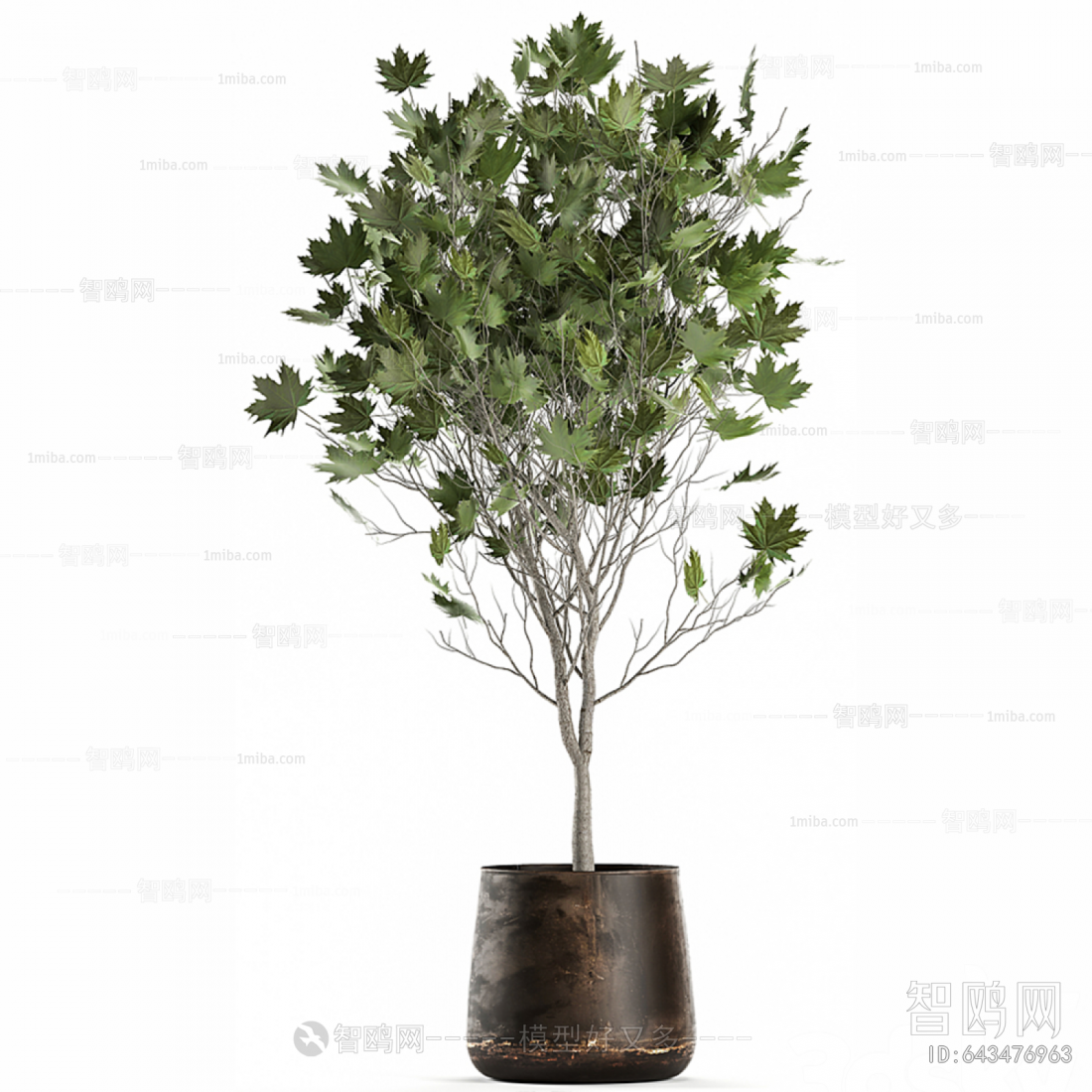 Modern Potted Green Plant