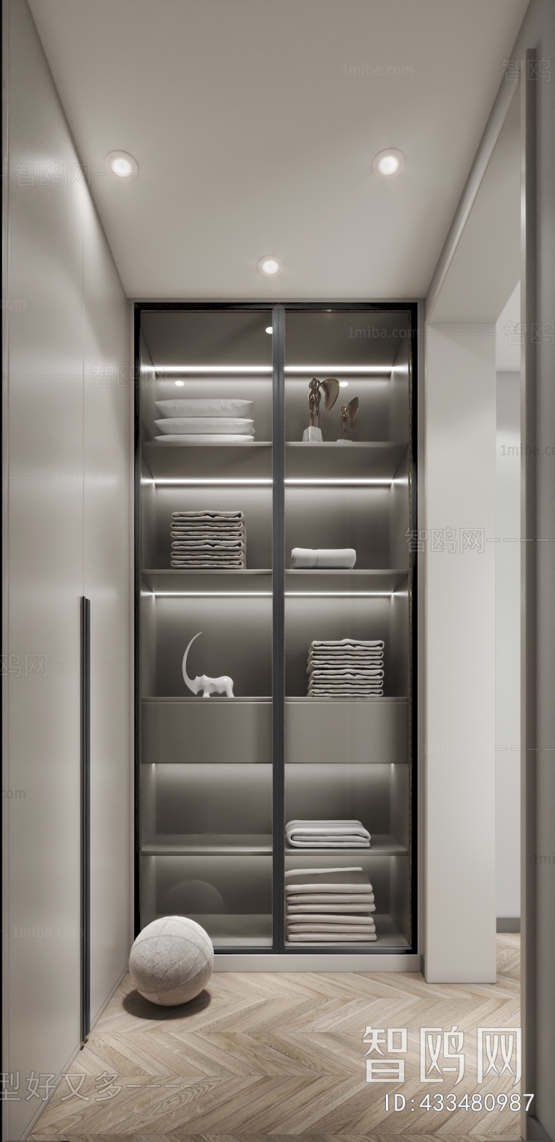 Modern Clothes Storage Area