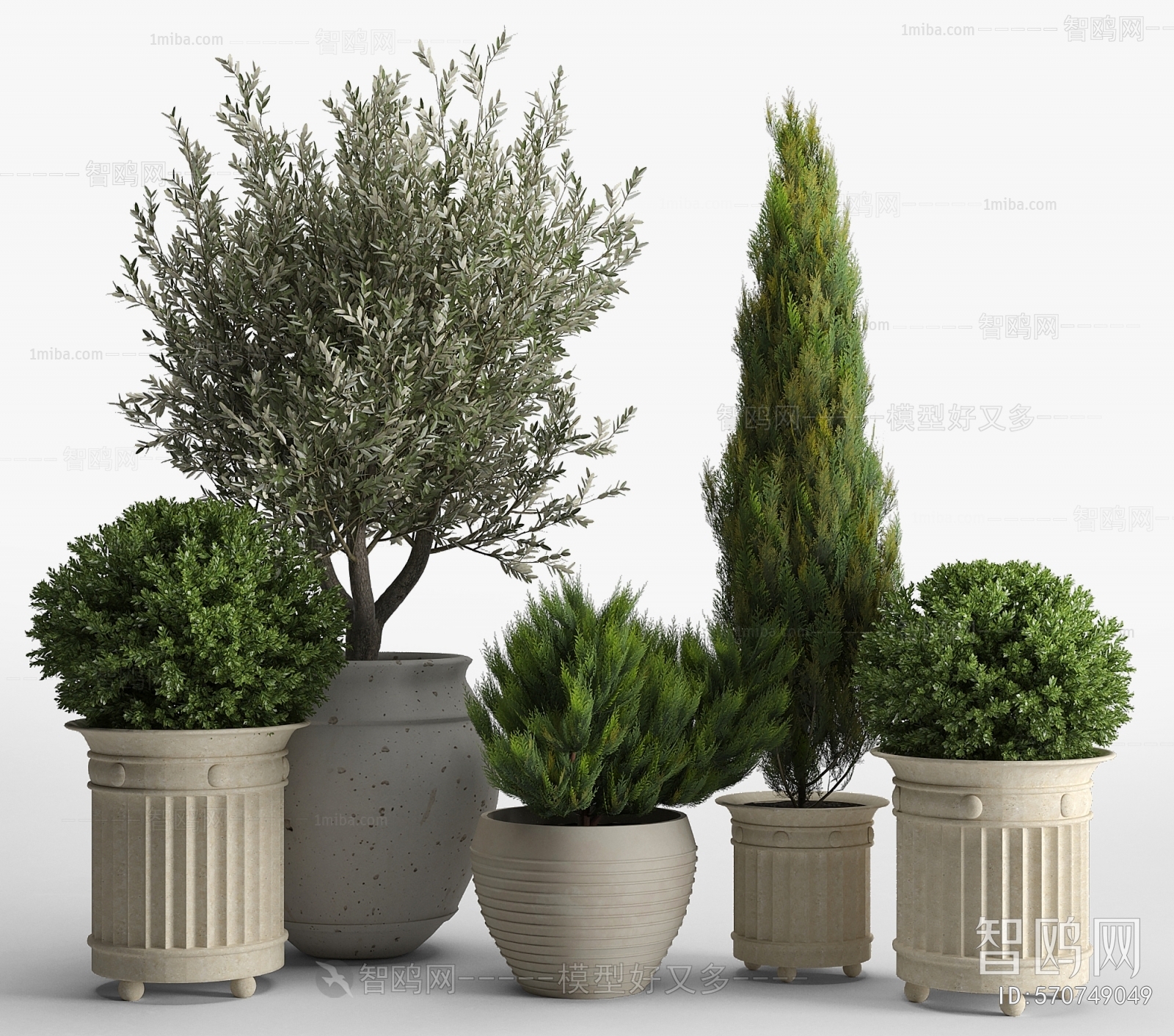 Simple European Style Potted Green Plant