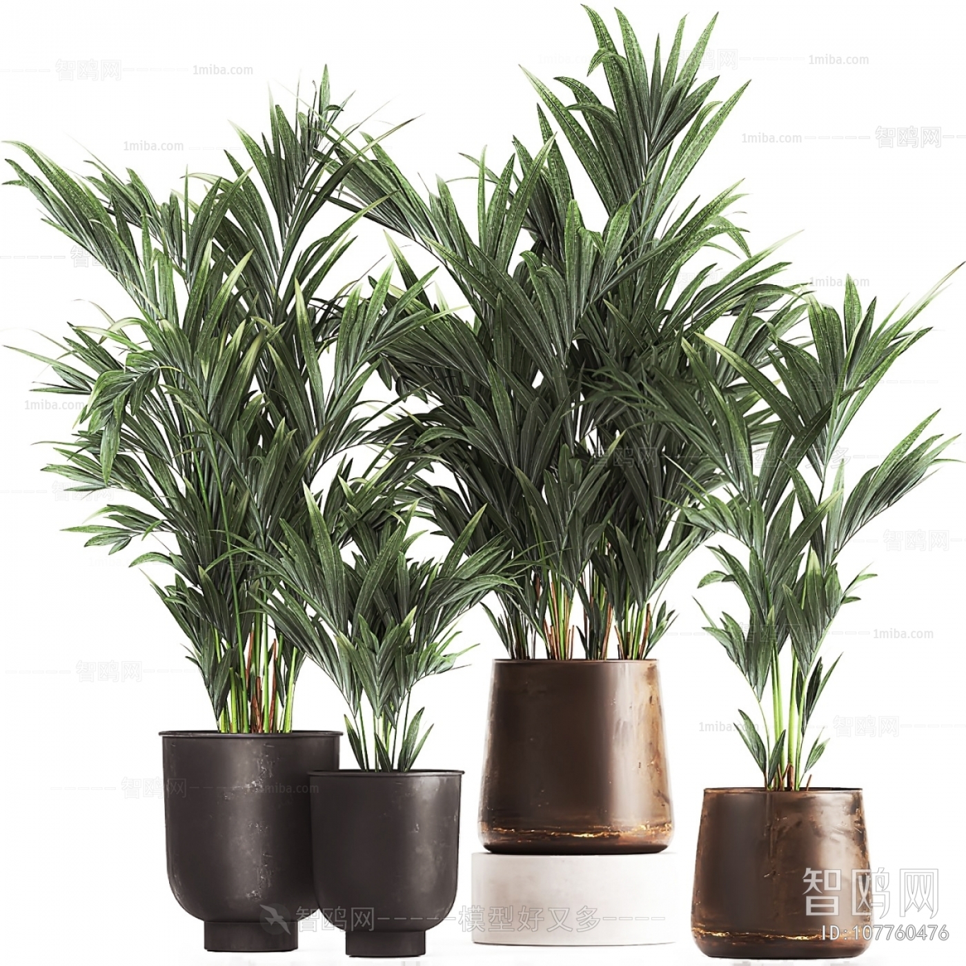 Modern Potted Green Plant