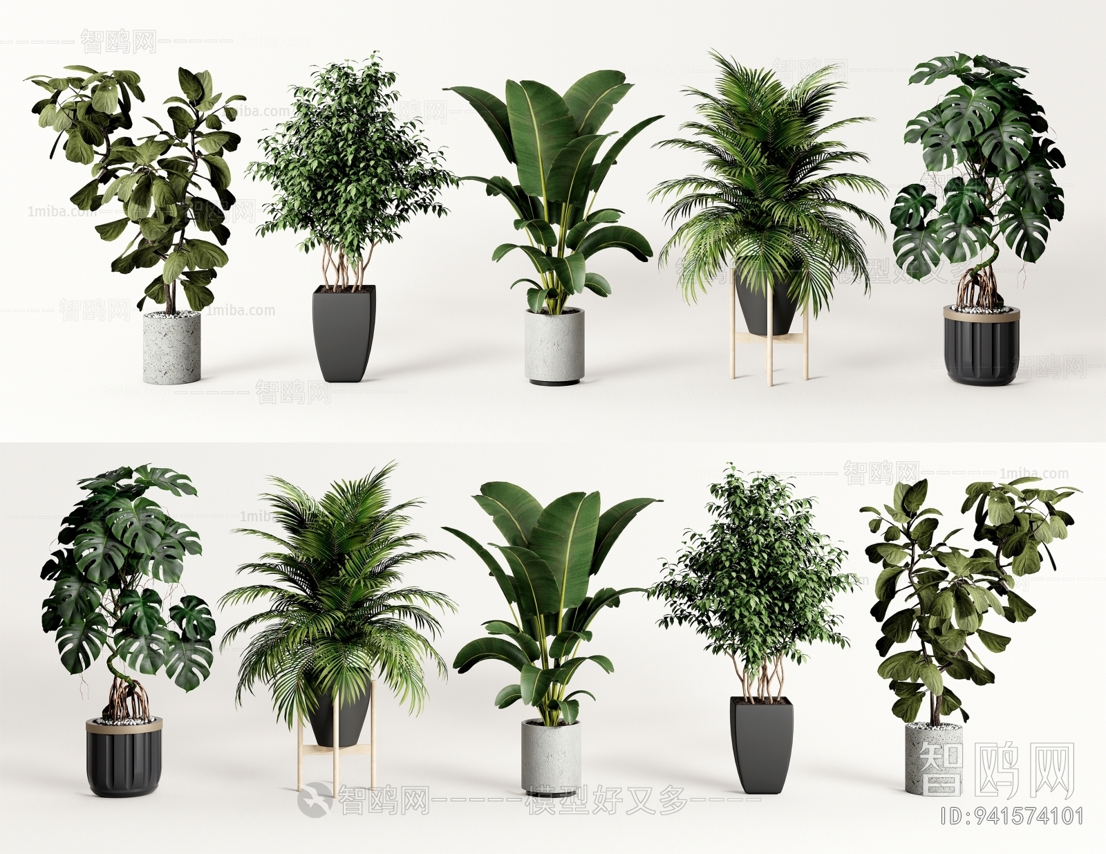 Modern Potted Green Plant