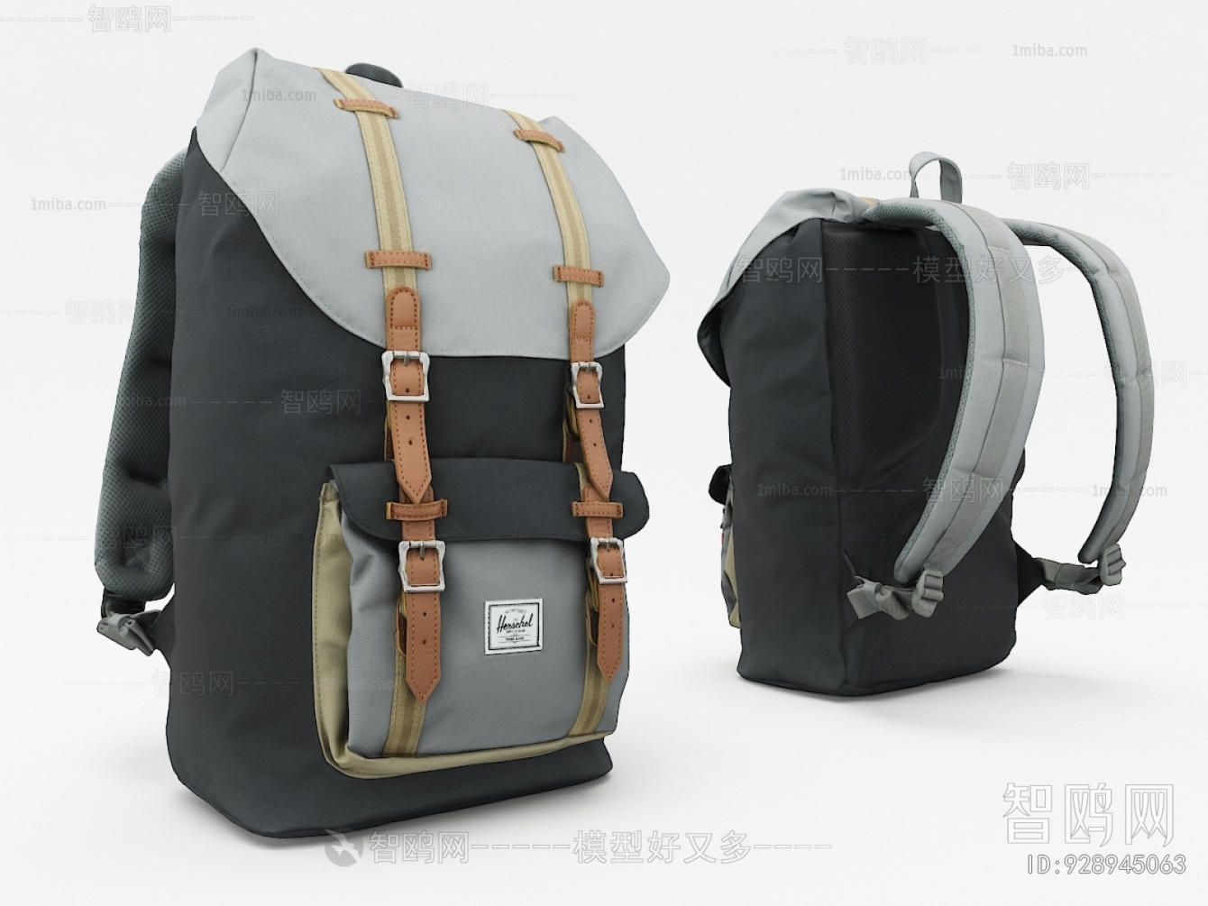 Modern Backpack And Backpack