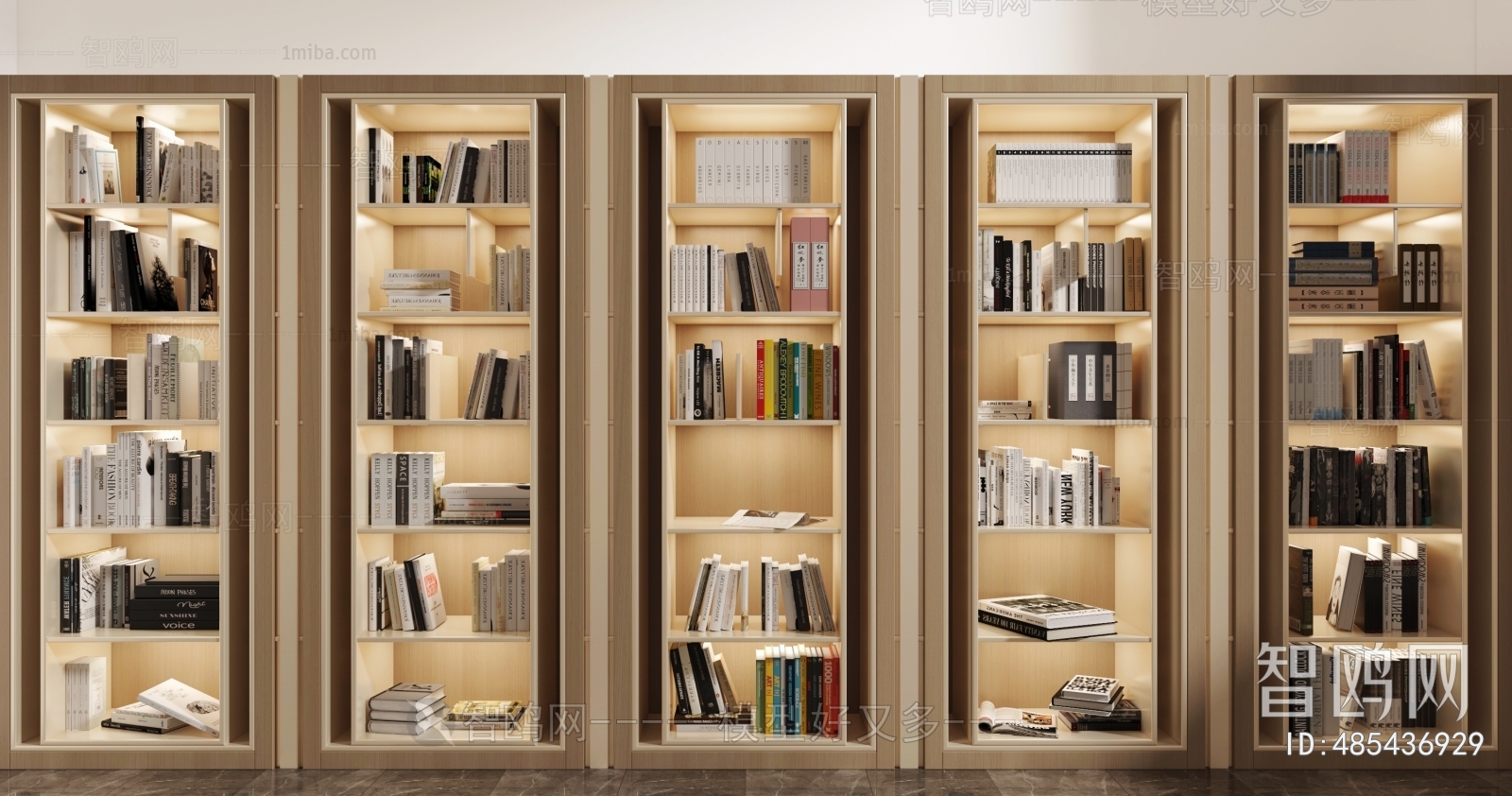 Modern Bookcase