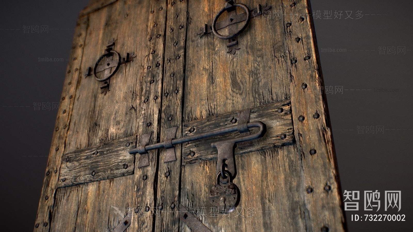 Industrial Style Double Door