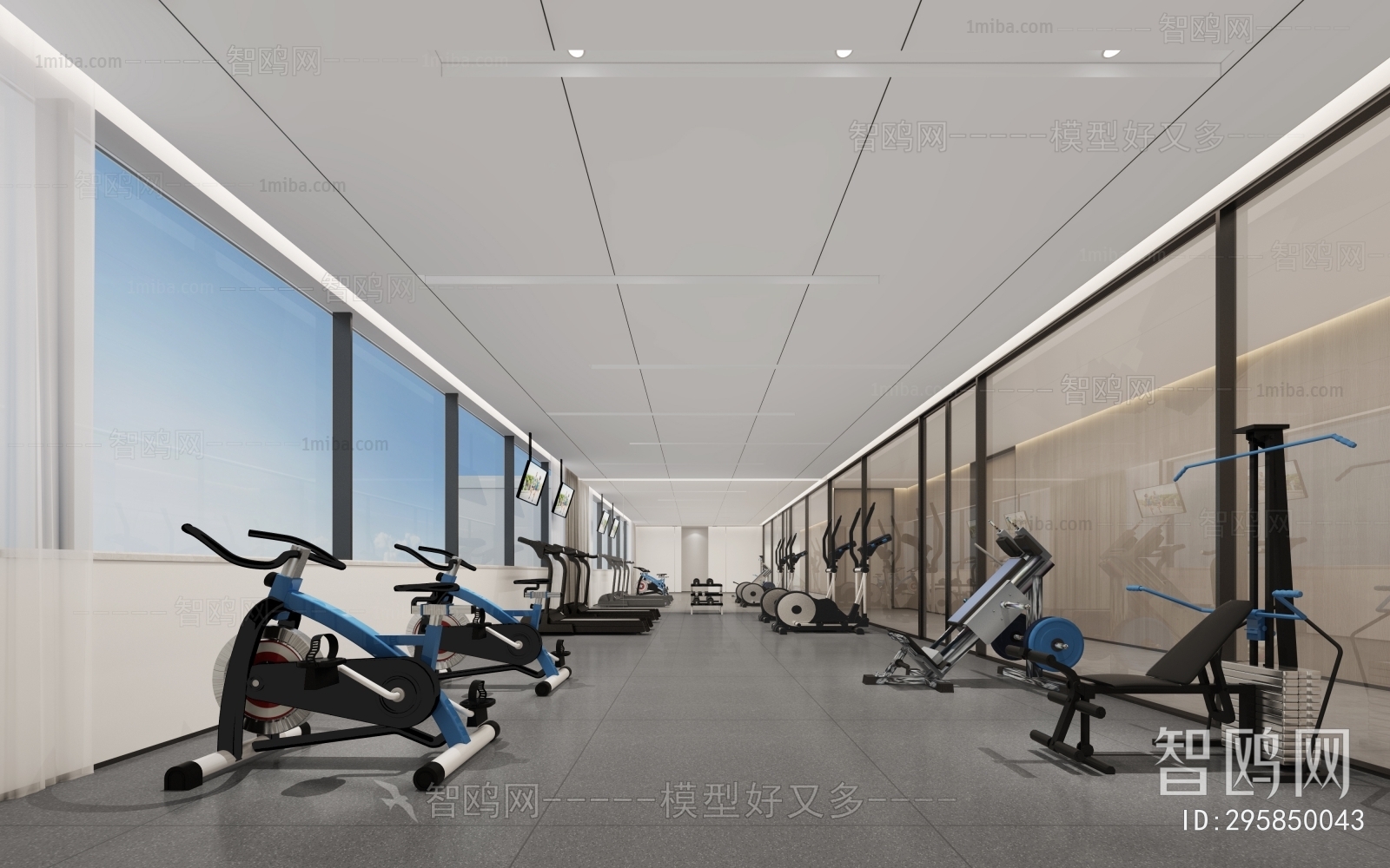 Modern Gym