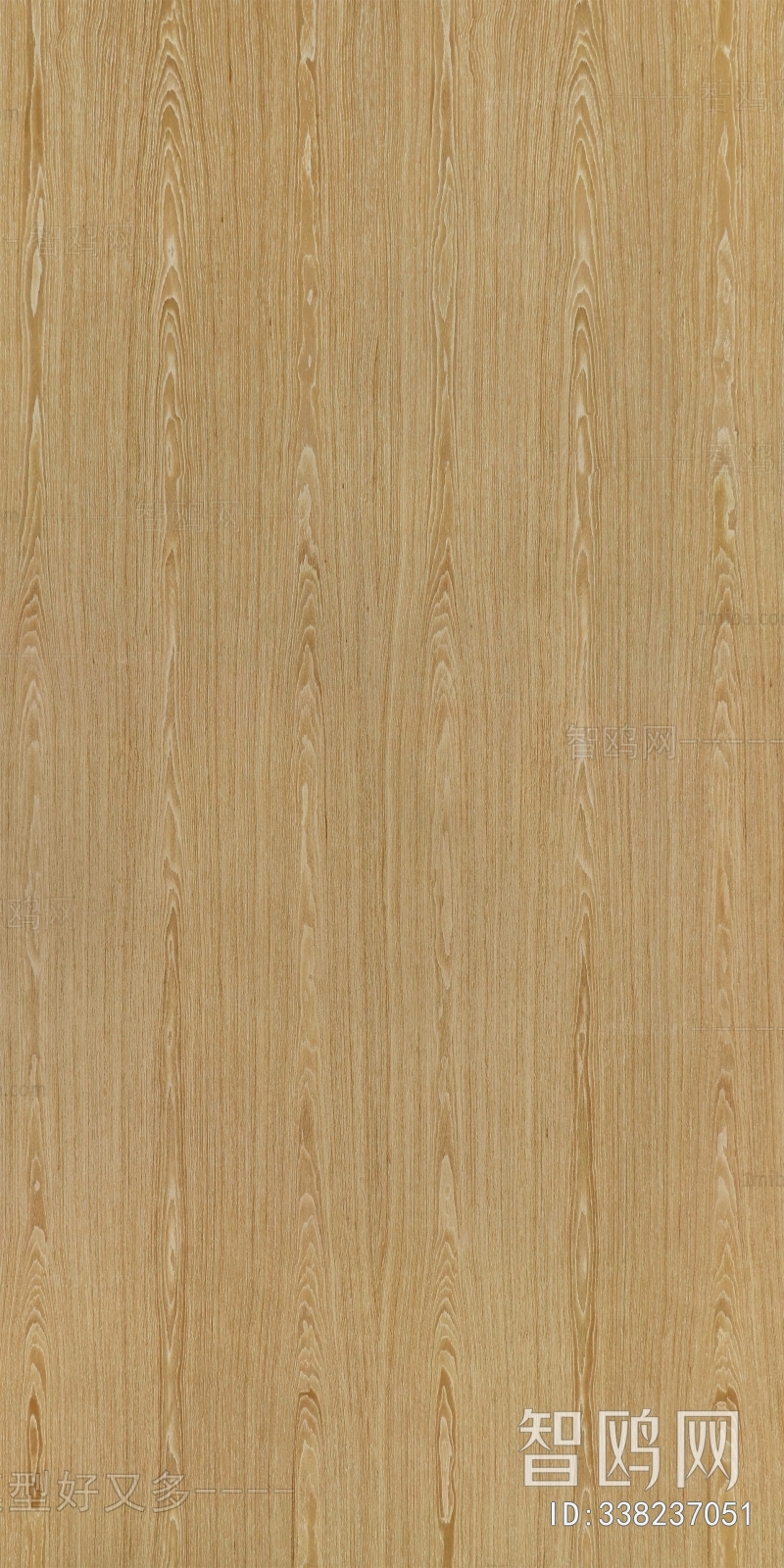 Wood Texture