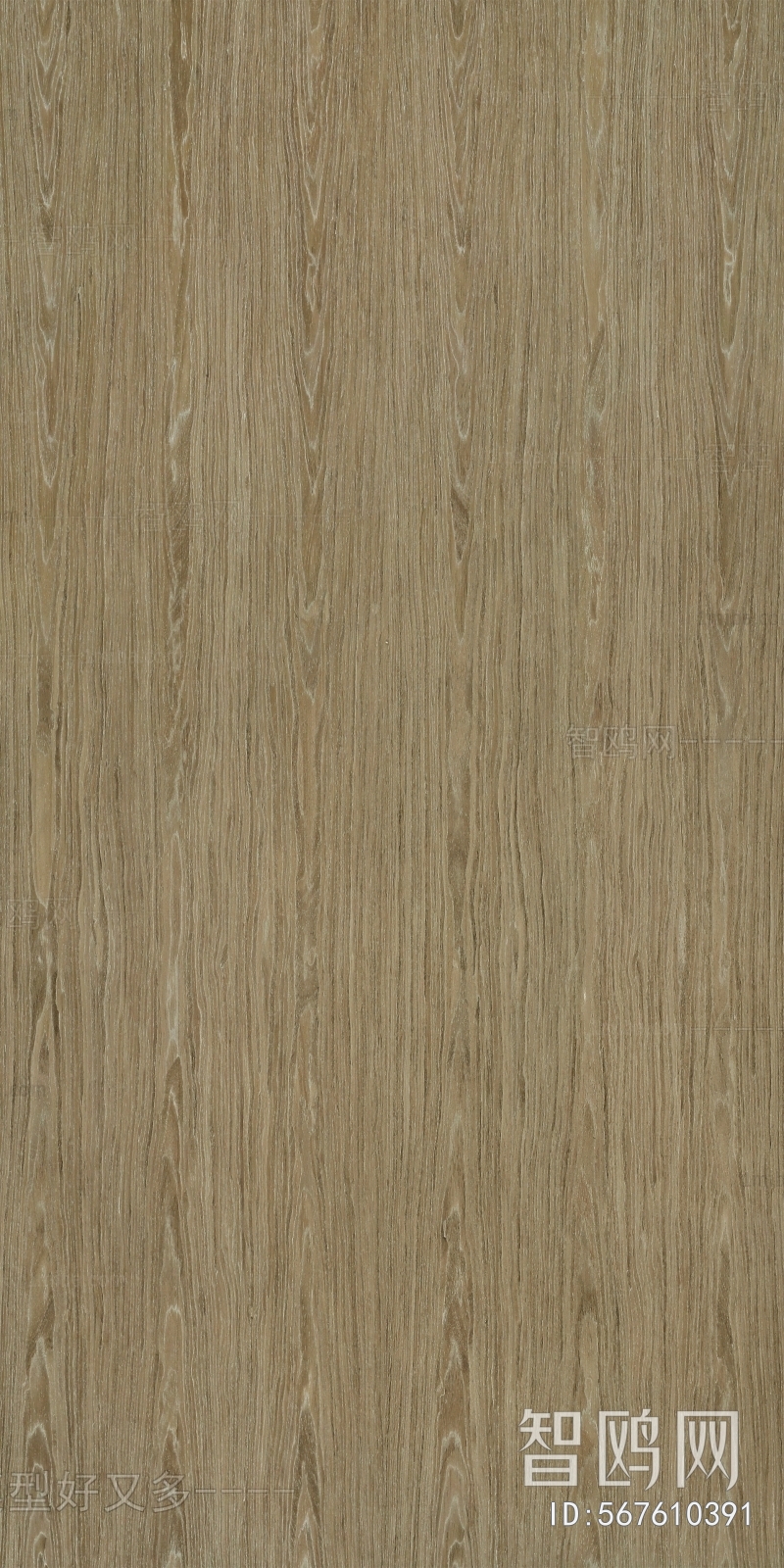 Wood Texture