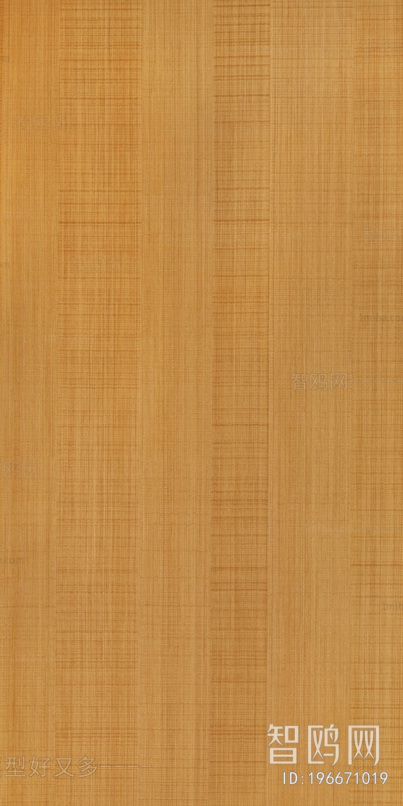 Wood Texture