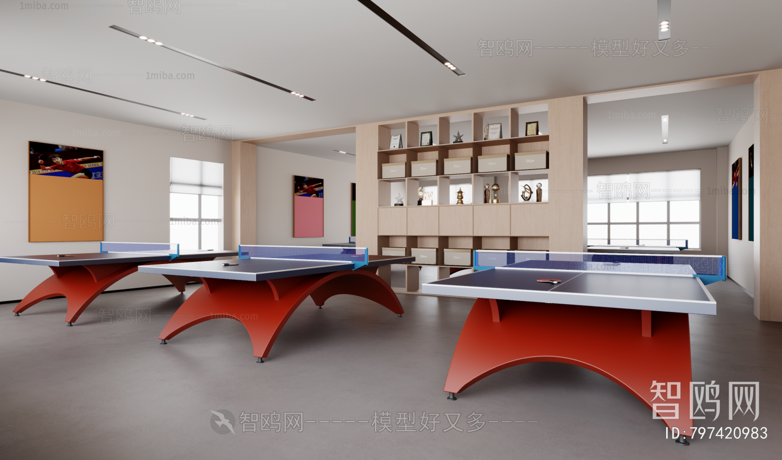 现代台球室 乒乓球室