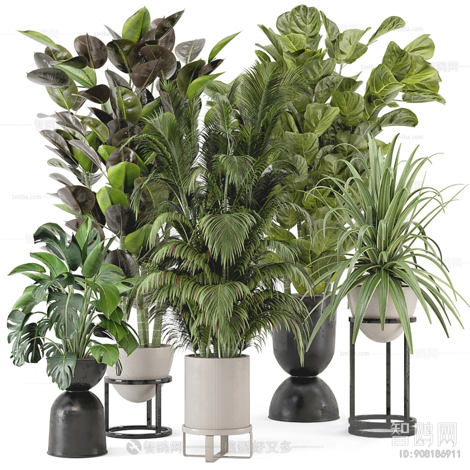 Modern Potted Green Plant