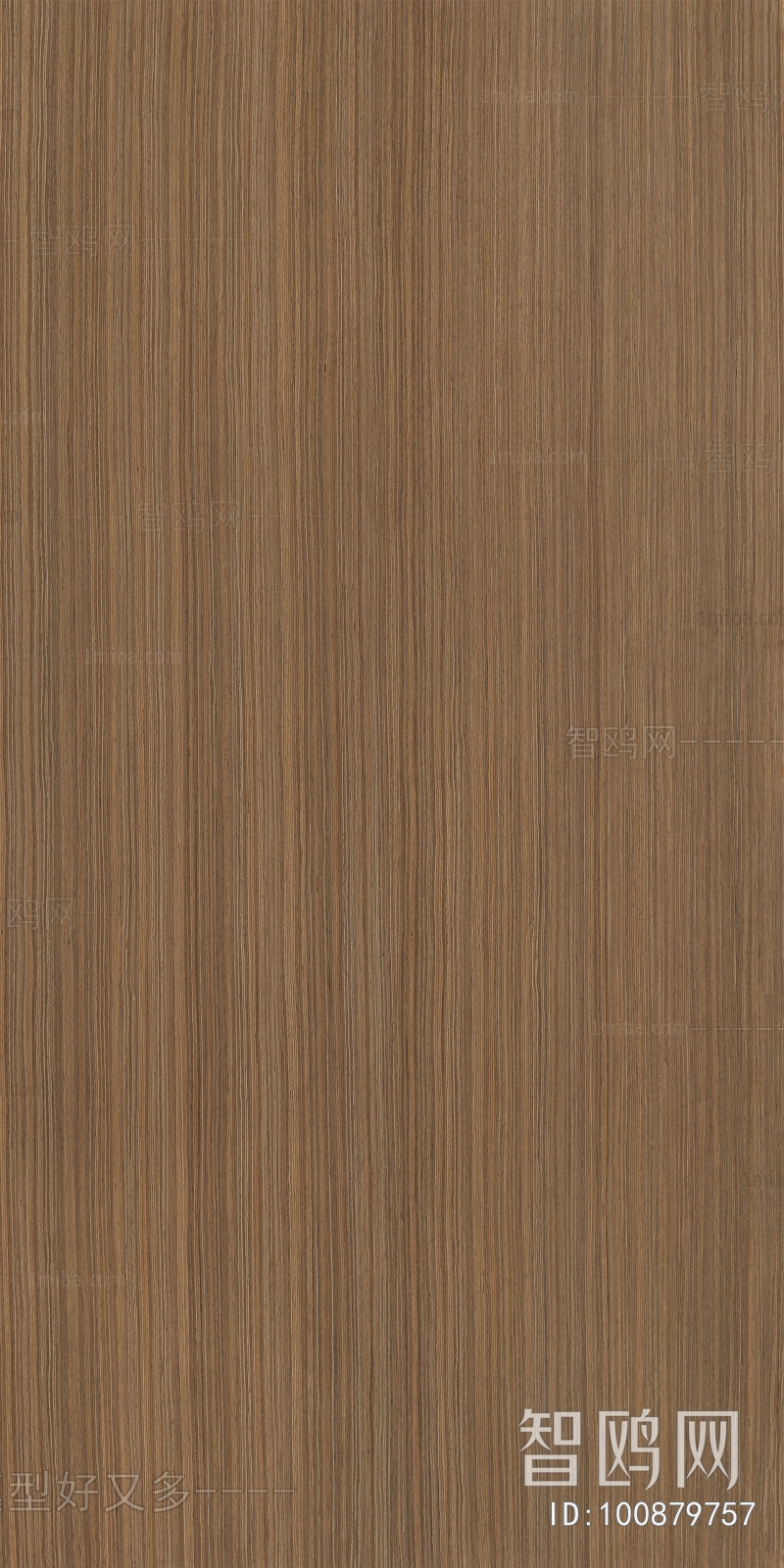 Wood Texture