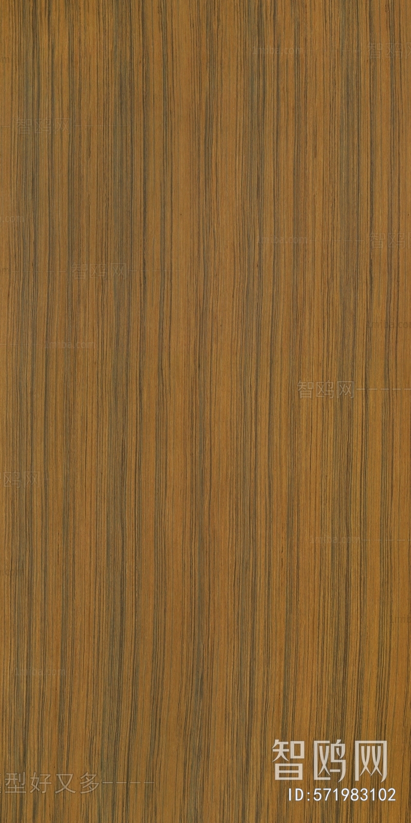 Wood Texture