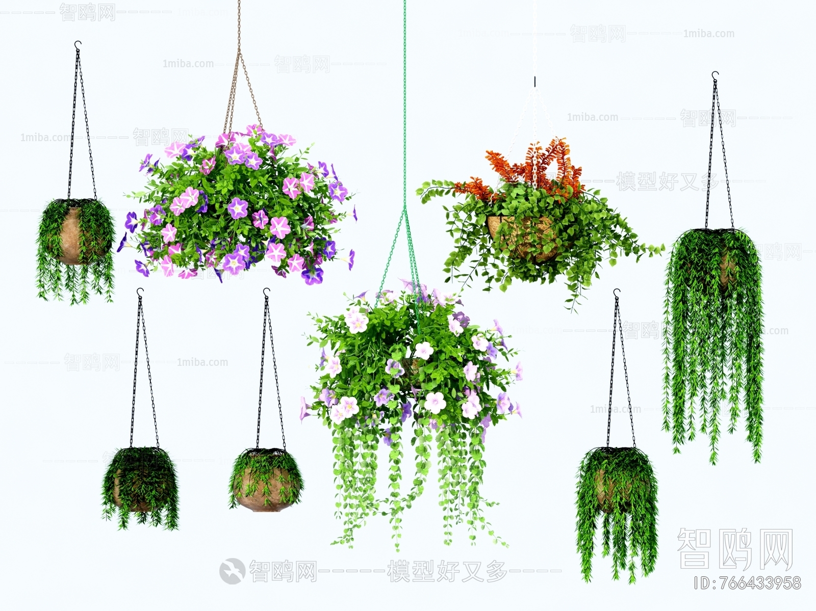 Modern Chlorophytum Comosum