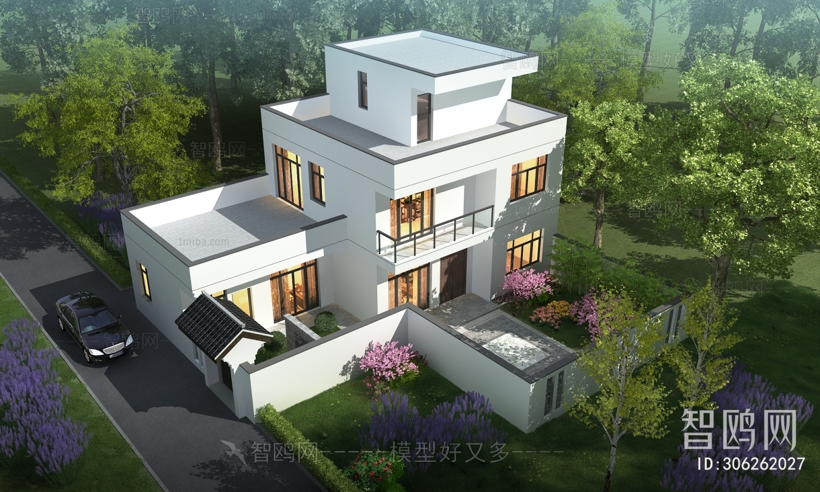 Modern Villa Appearance