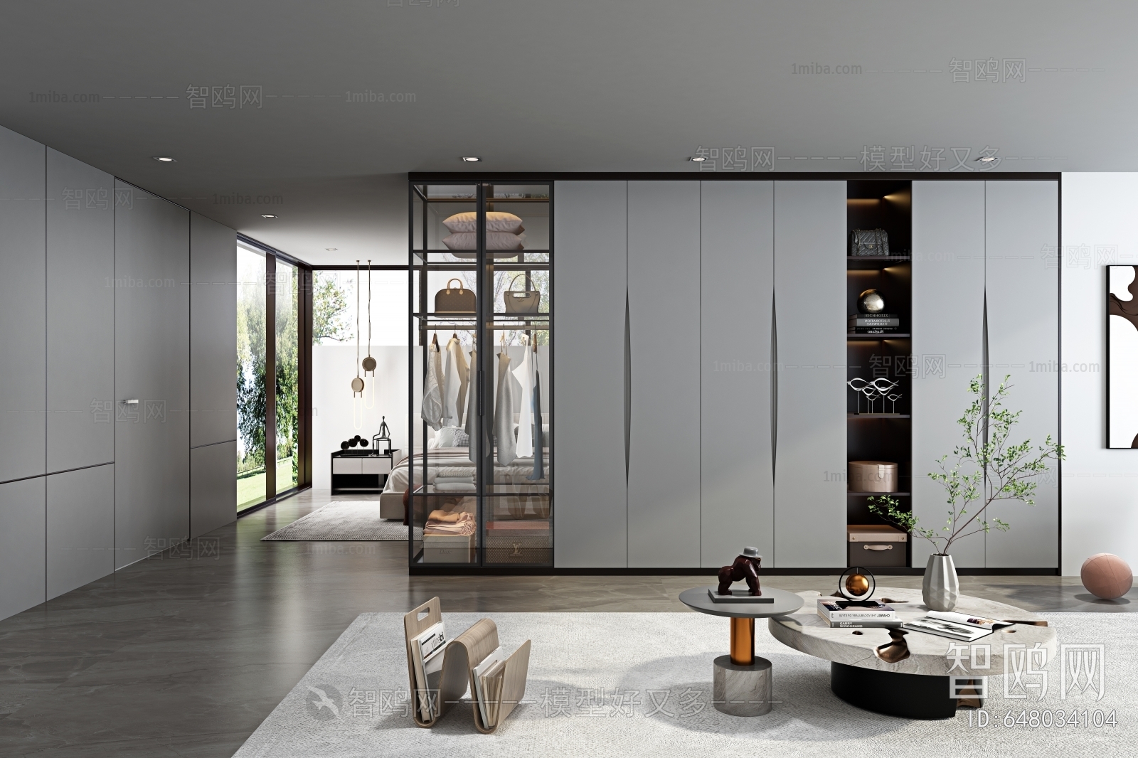 Modern Clothes Storage Area