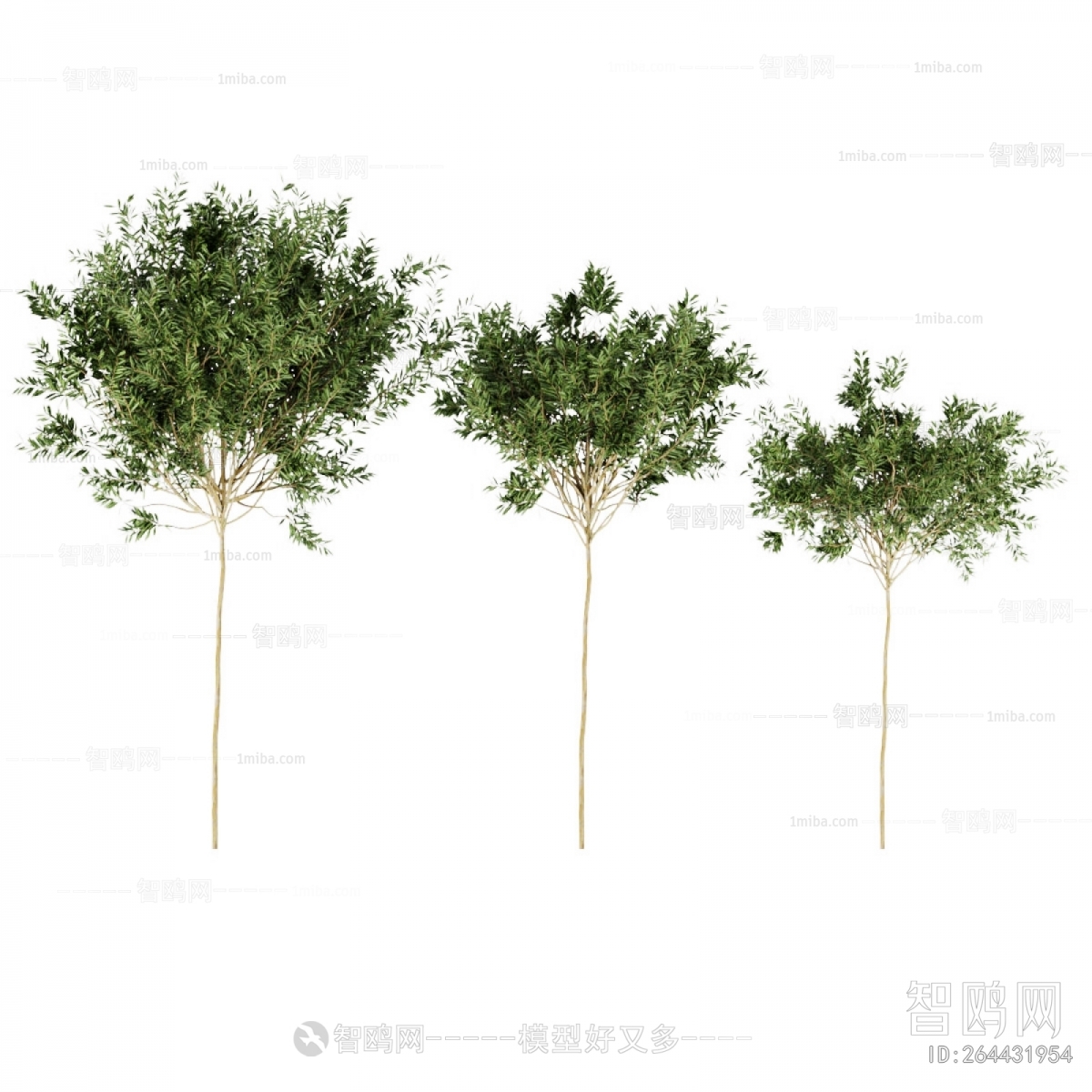 Modern Tree