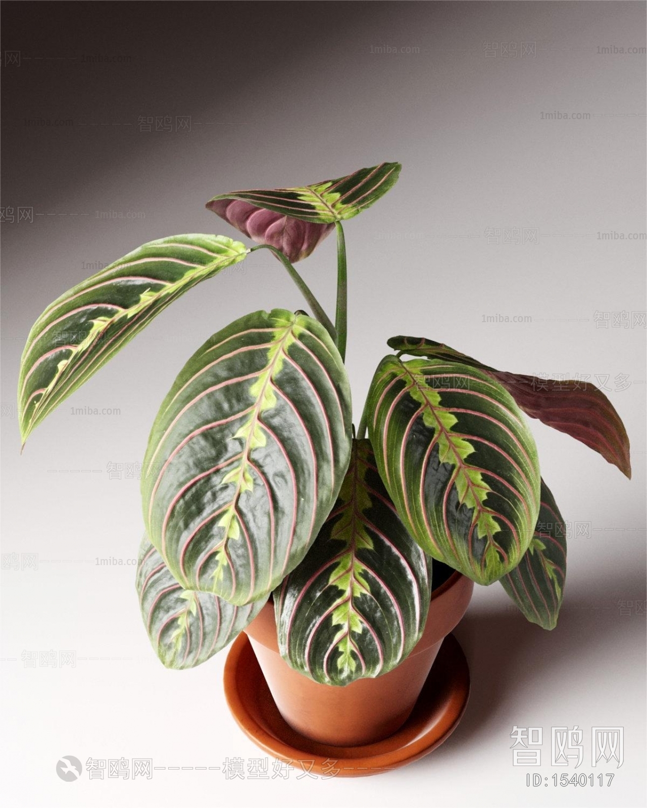 Modern Potted Green Plant